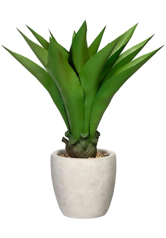 Creativ green Künstliche Zimmerpflanze »Agave«, (1 St.), im Zementtopf kaufen