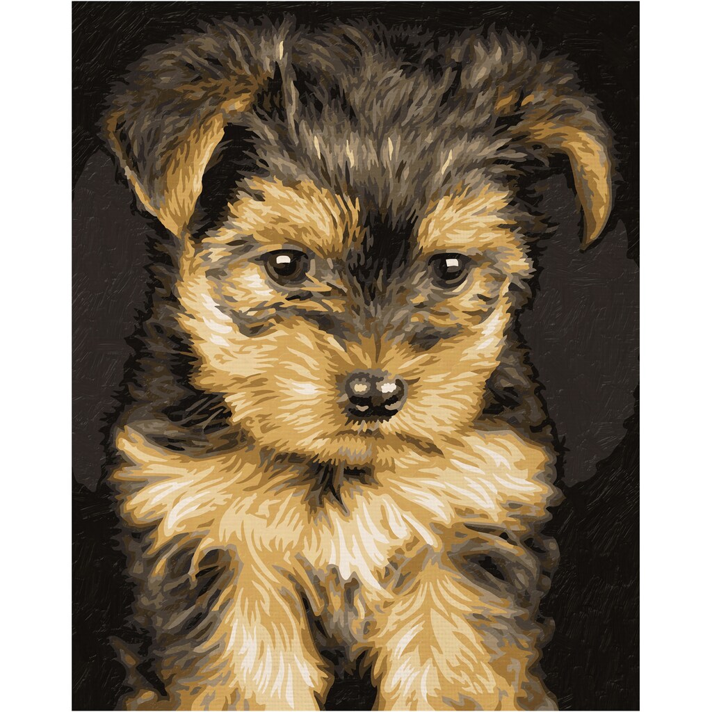Schipper Malen nach Zahlen »Meisterklasse Klassiker - Yorkshire Puppy«, Made in Germany