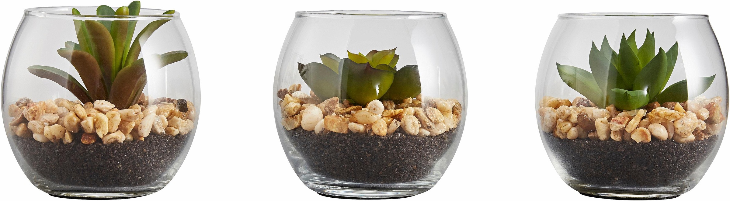 Creativ green Kunstpflanze »Sukkulenten« günstig online kaufen