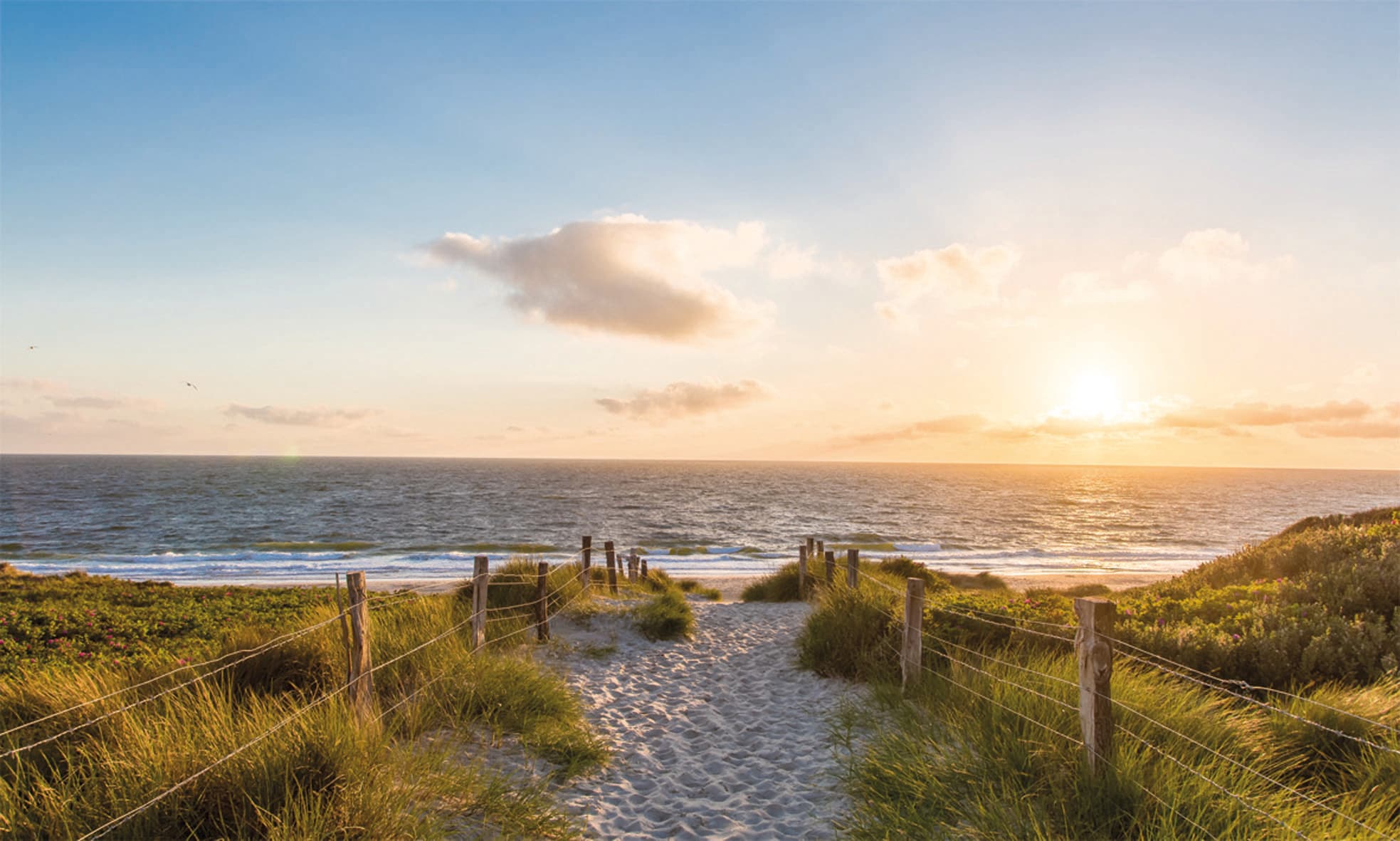 Bönninghoff Leinwandbild »Strand« 1 Stk. tlg. günstig online kaufen