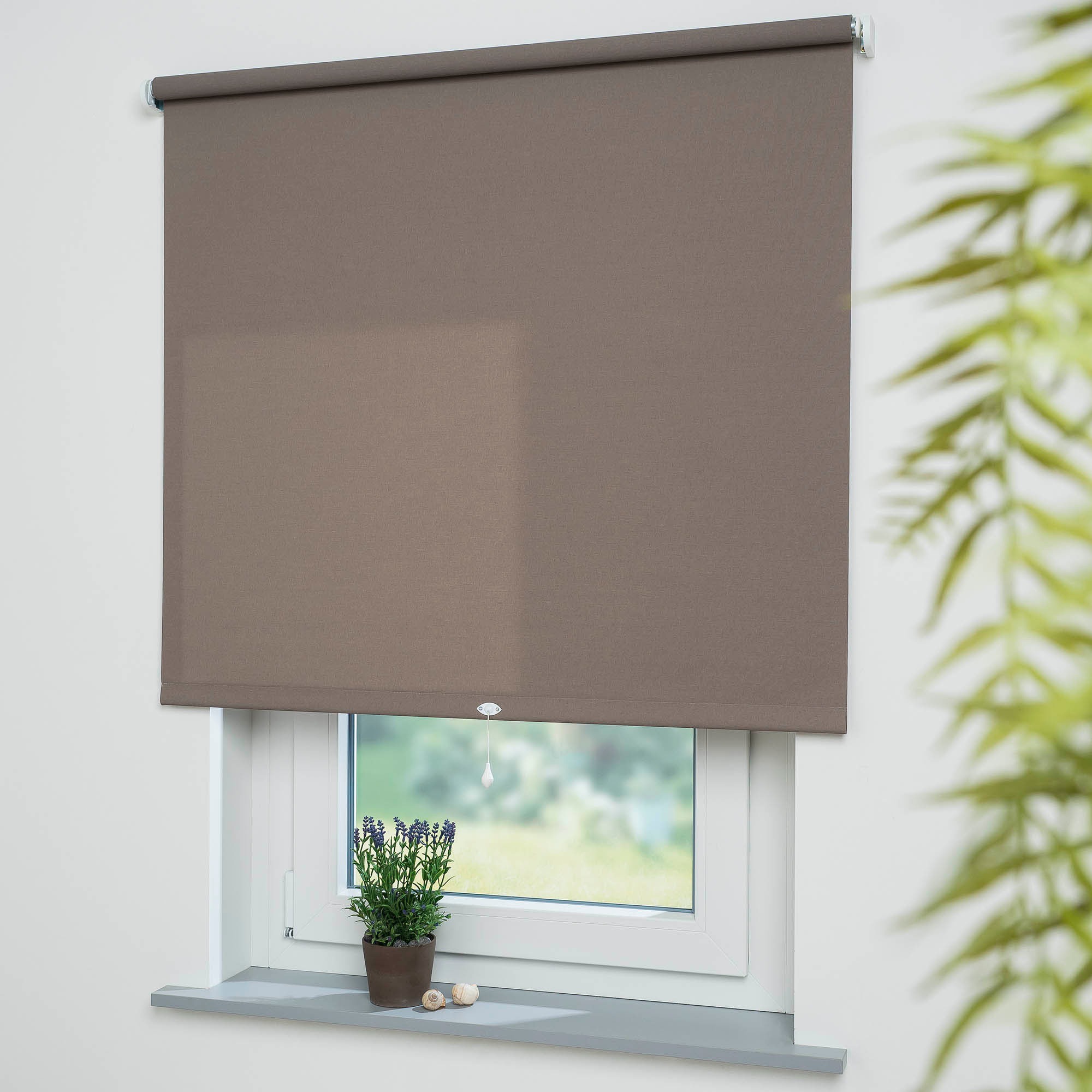 Liedeco Springrollo »Uni«, Lichtschutz, mit Bohren, freihängend, Rollowelle 36 mm, starke Feder