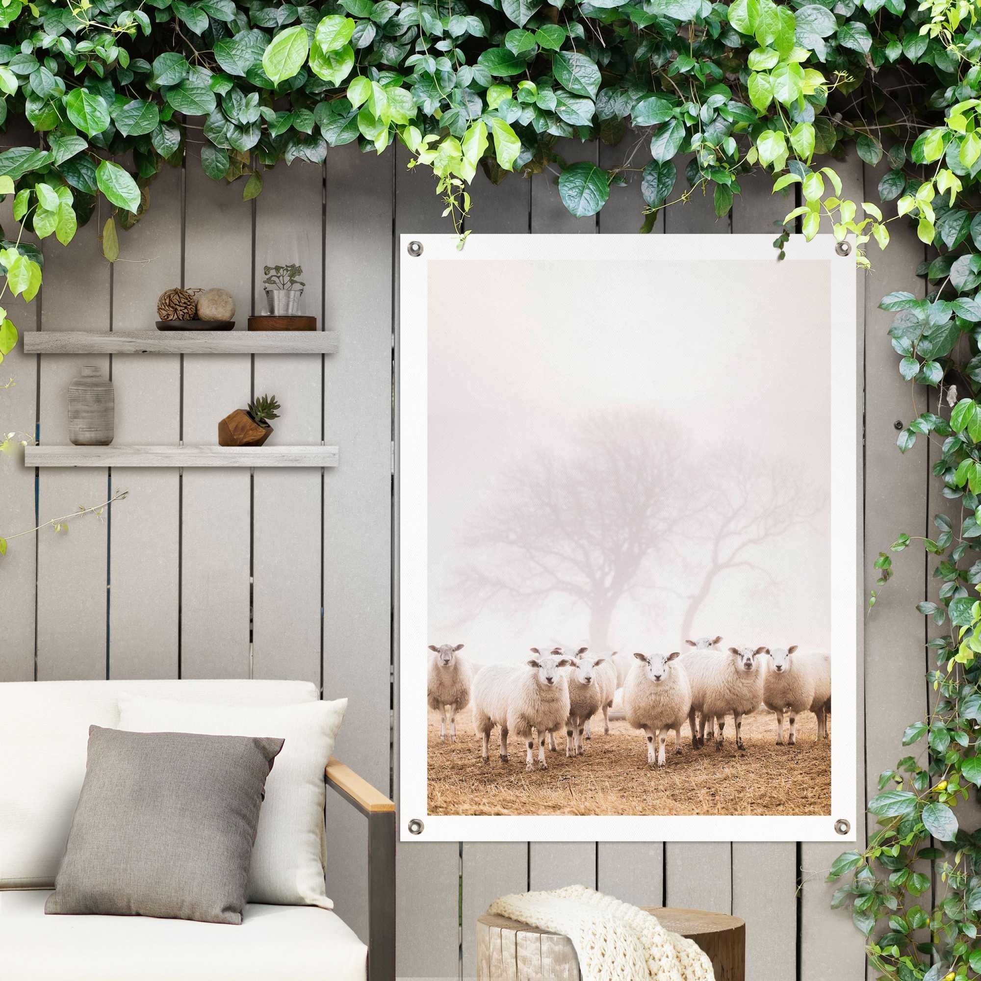 Reinders! Poster »Schafe im Nebel«, Outdoor für Garten oder Balkon