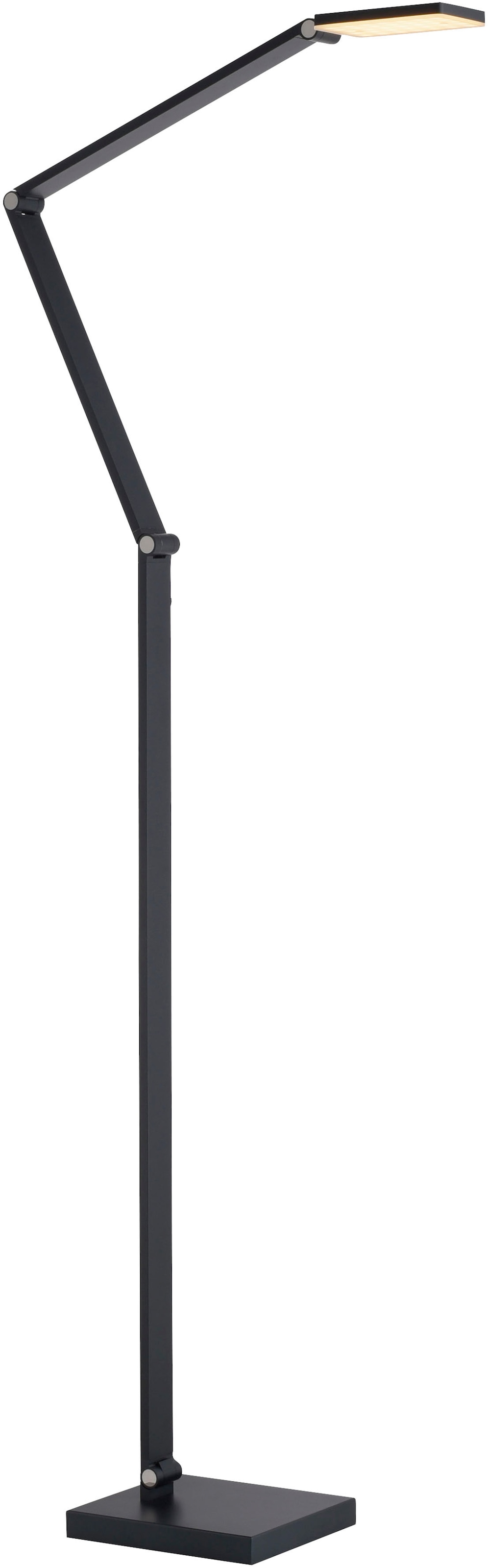 Paul Neuhaus LED Stehlampe »SAMSKY« LED-Board 1 Stk. warmweiß - kaltweiß Tastdimmer, CCT 2700-5000K, Memory, Höhenverstellbar