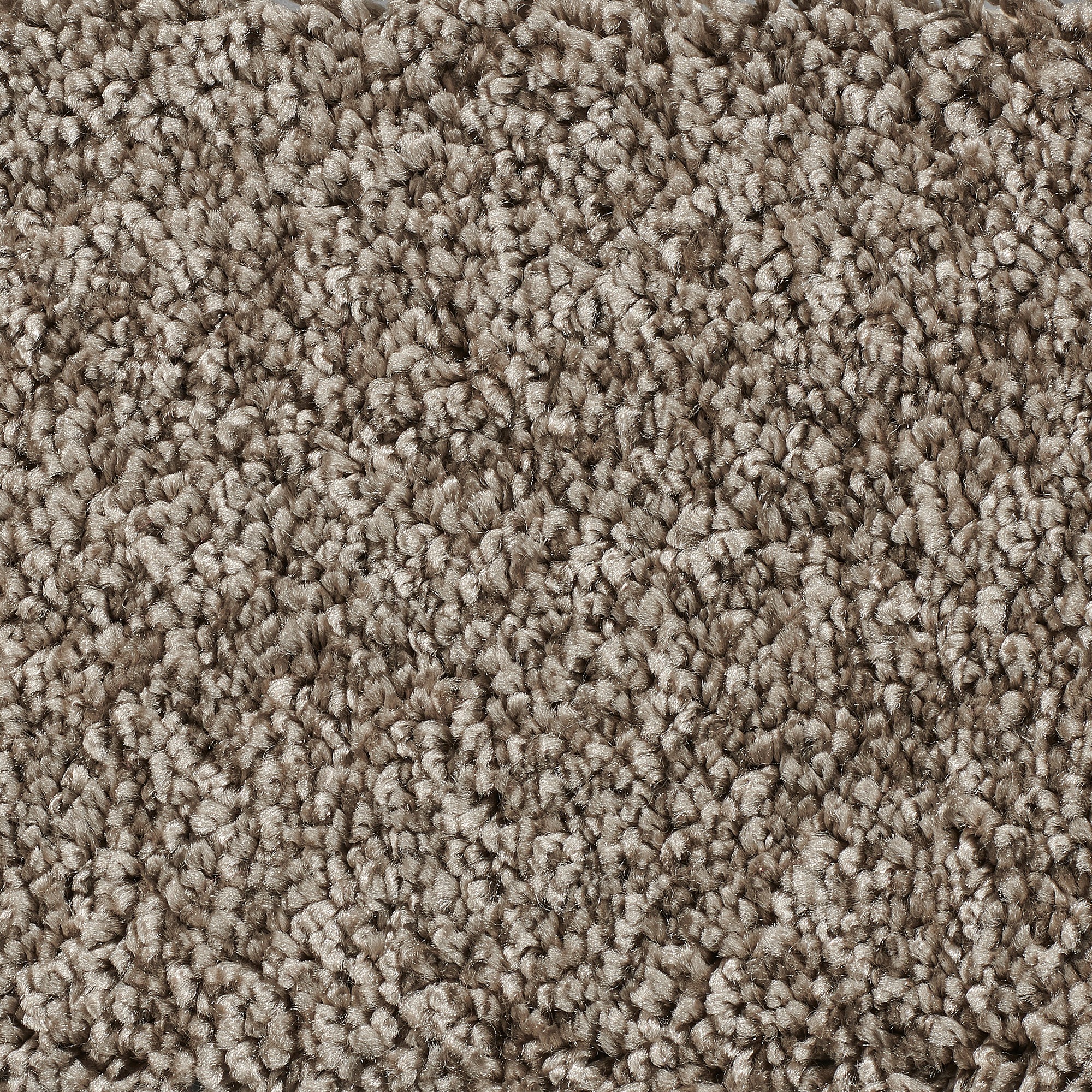 Bodenmeister Teppichboden »Hochflor Velours«, rechteckig, 14 mm Höhe, Meterware,... kaufen
