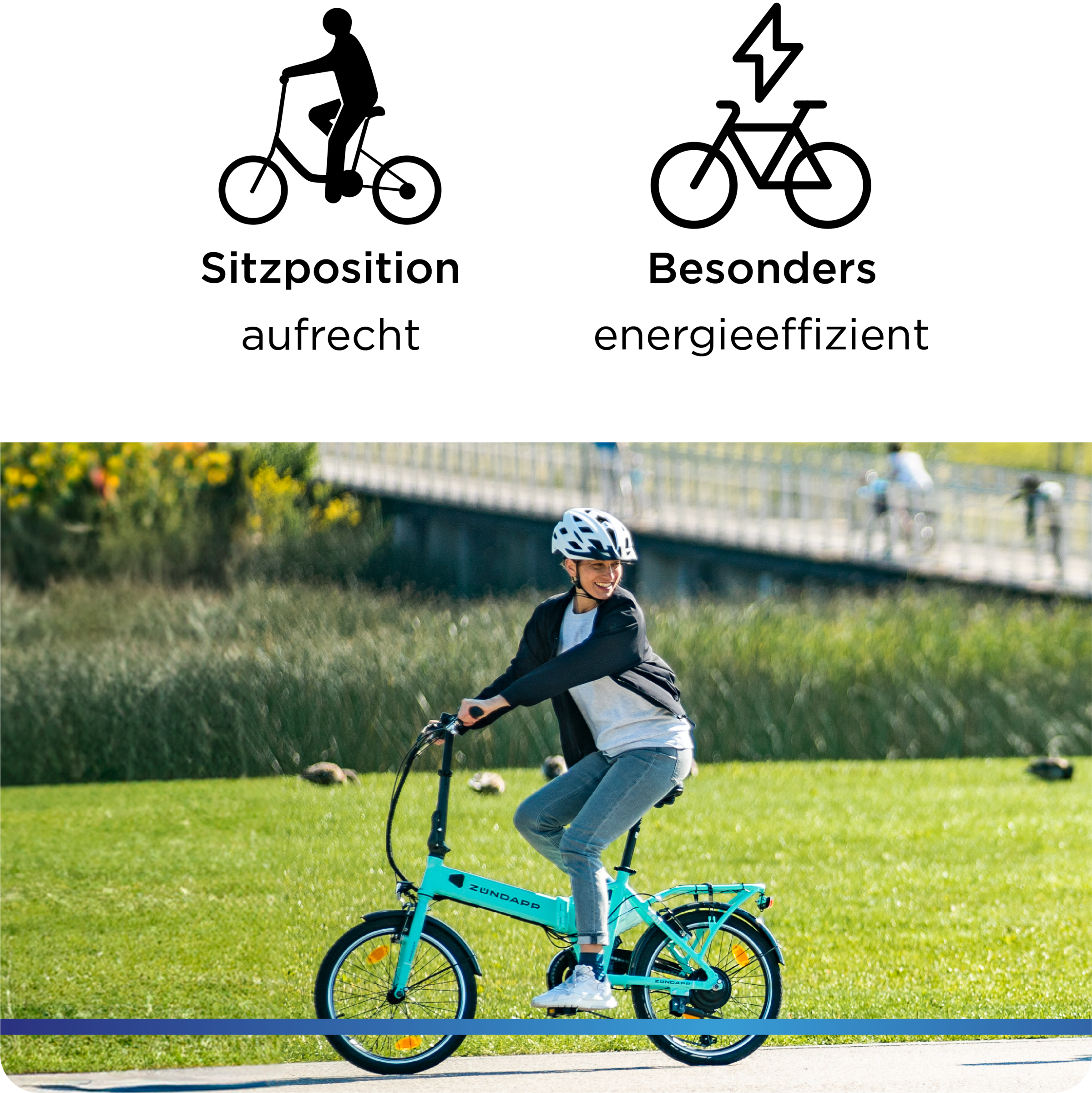 Zündapp »Z101« 6 Gang Shimano Tourney RD-TY300 Schaltwerk Kettenschaltung Heckmotor 250 W Pedelec, Elektrofahrrad für Damen u. Herren