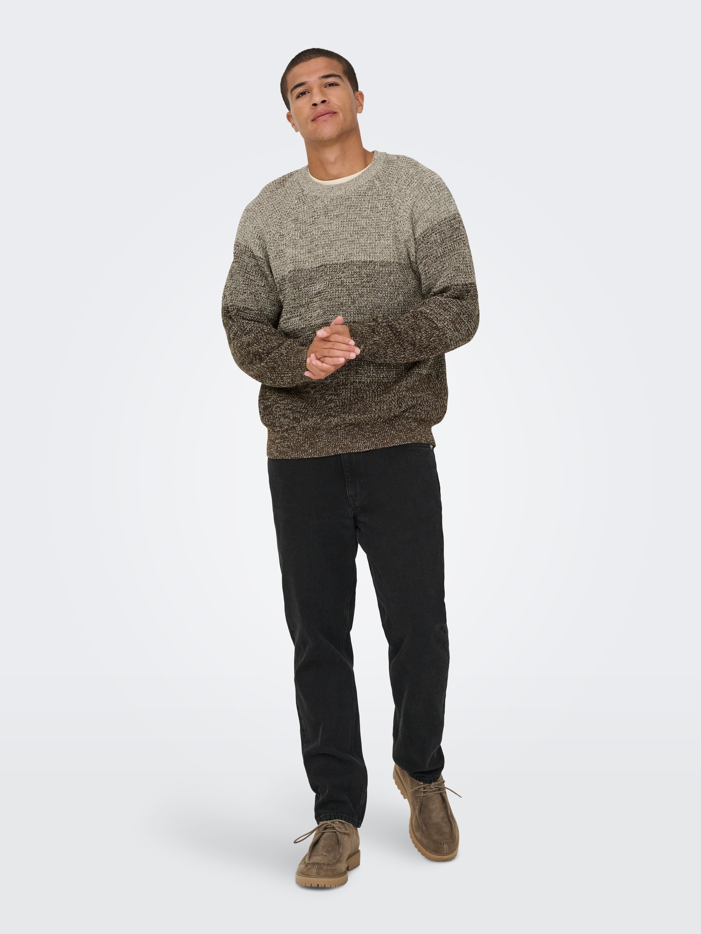 ONLY & SONS Rundhalspullover »ONSBIRK RLX LS RAGLAN KNIT CAMP«