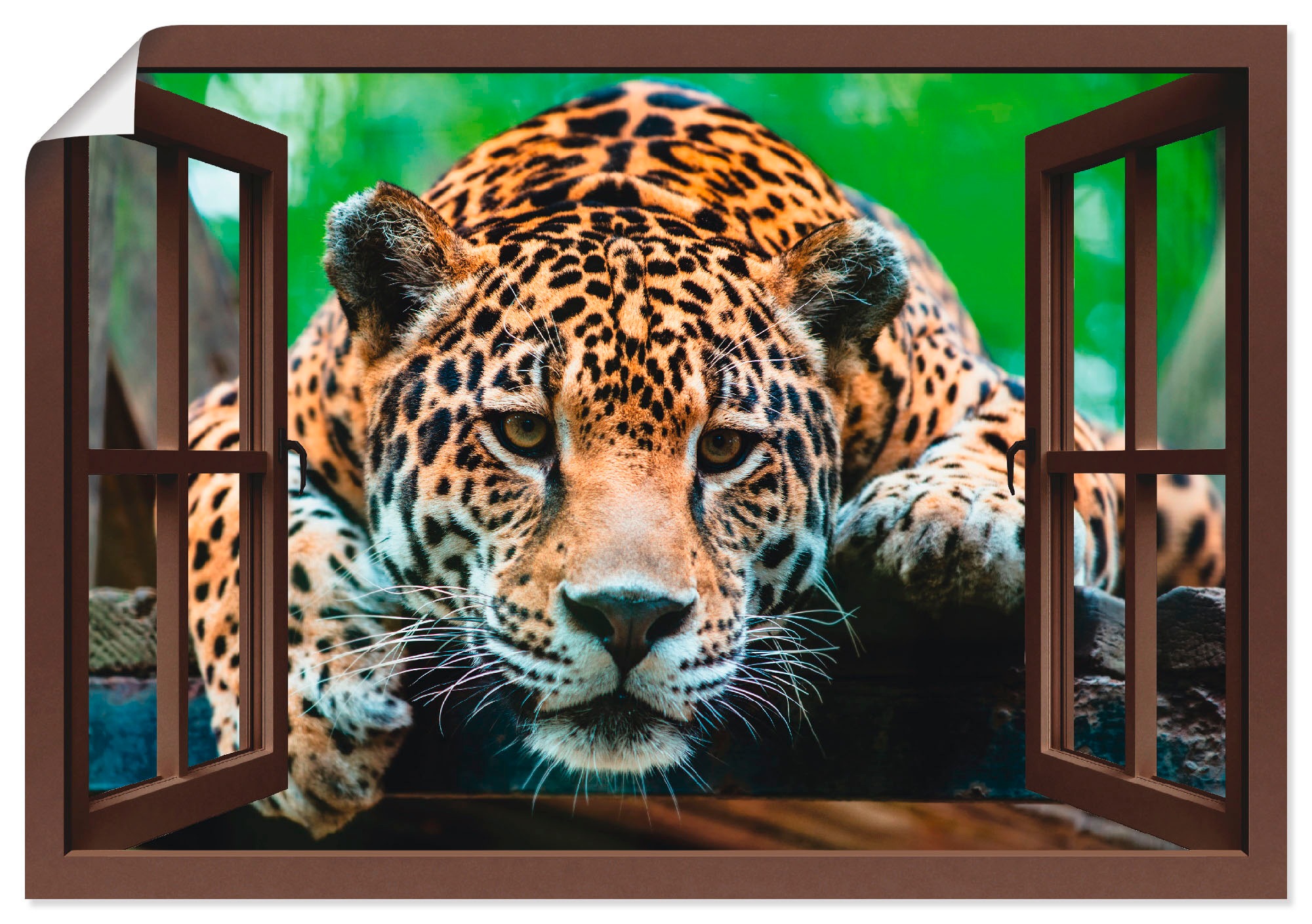 Artland Poster »Fensterblick - Südamerikanischer Jaguar« Wildtiere 1 Stk. t günstig online kaufen