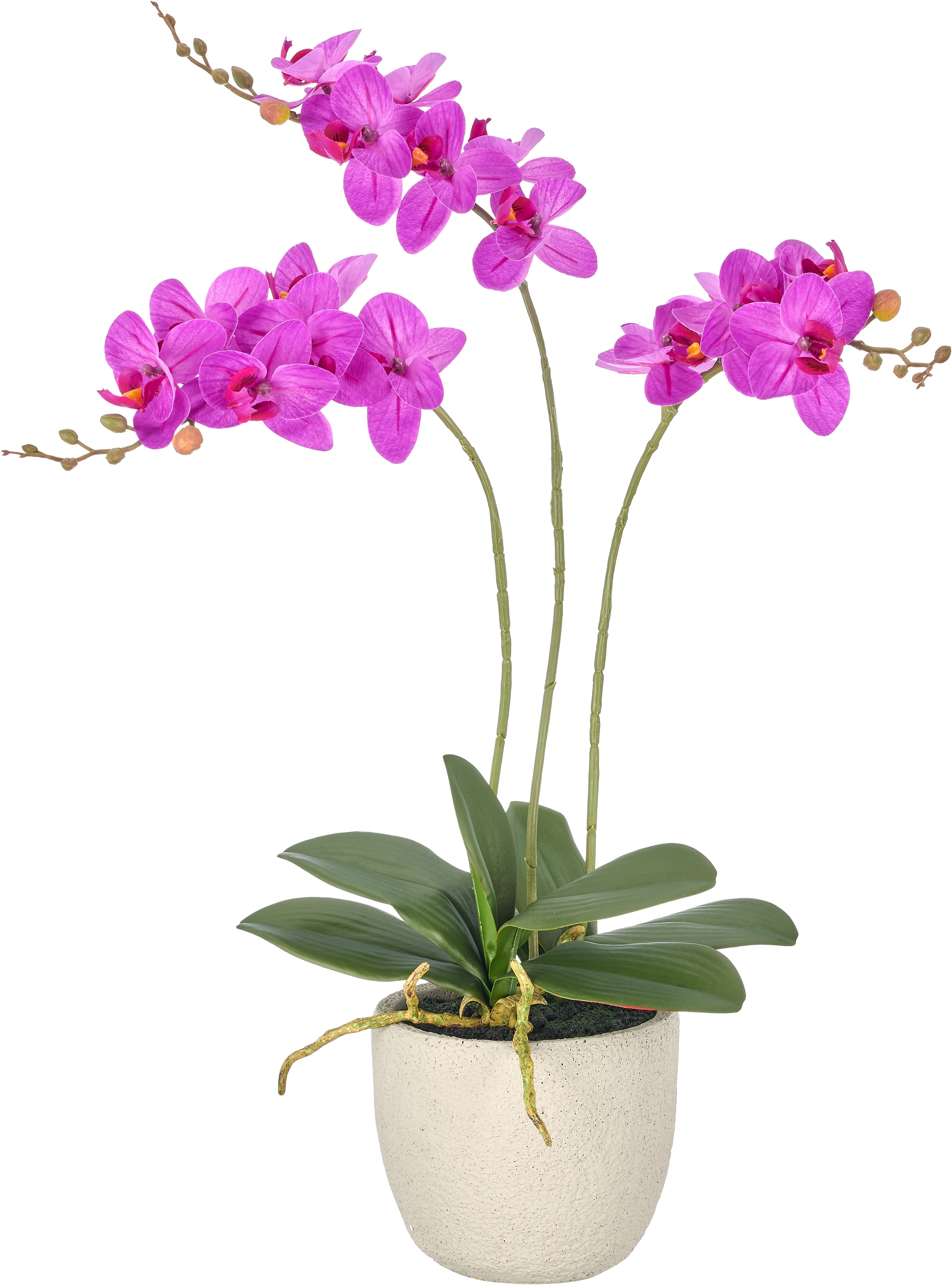 Creativ green Kunstorchidee »Phalaenopsis« mit drei Blütenstielen
