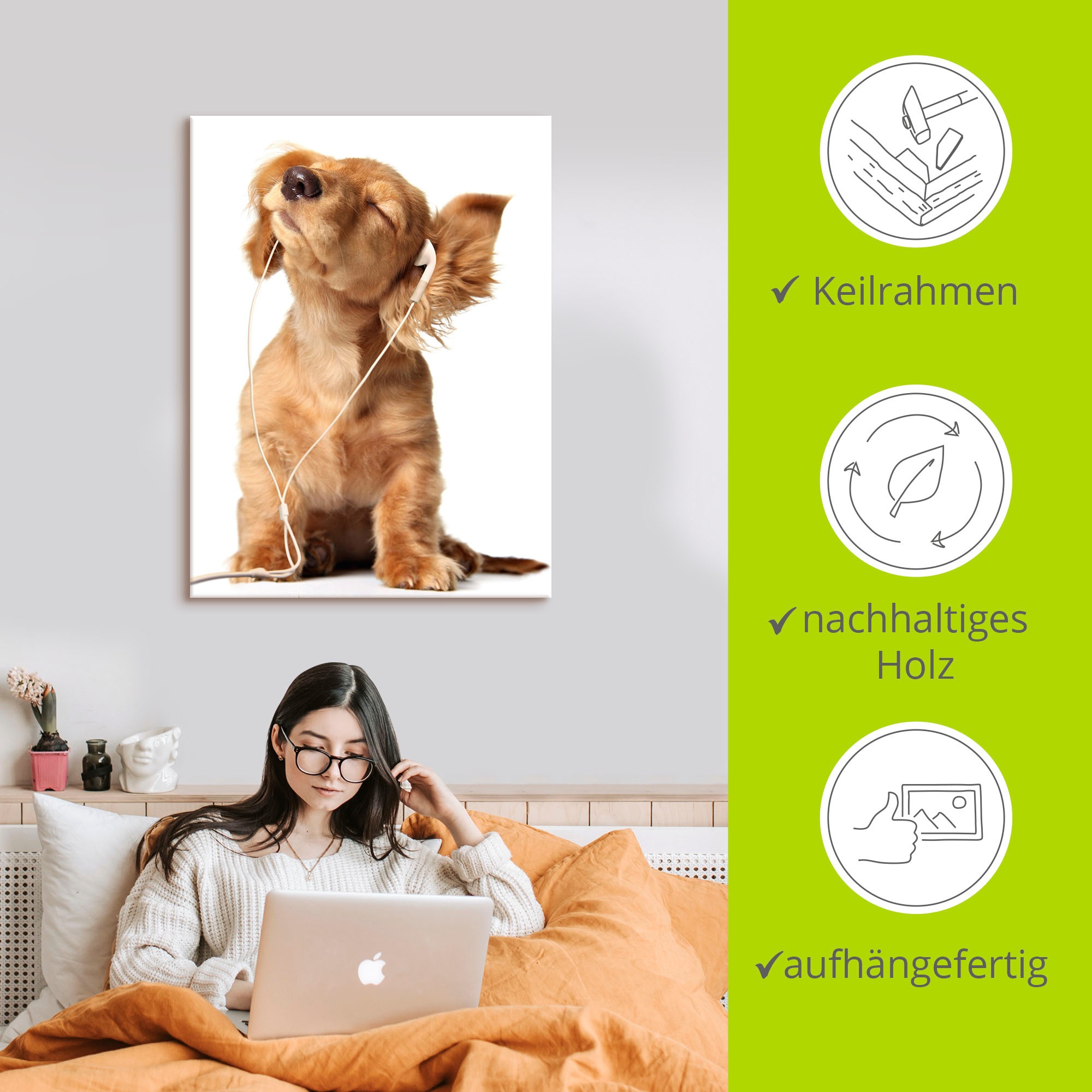 Artland Wandbild »Junger Hund hört Musik über Kopfhörer«, Haustiere, (1 St.), als Leinwandbild, Poster, Wandaufkleber in verschied. Größen