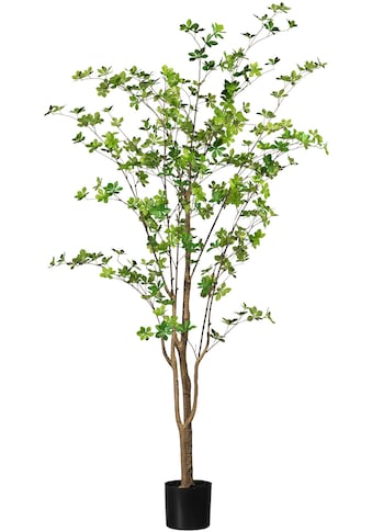 Creativ green Kunstbaum »Louisiana-Baum«, (1 St.) kaufen