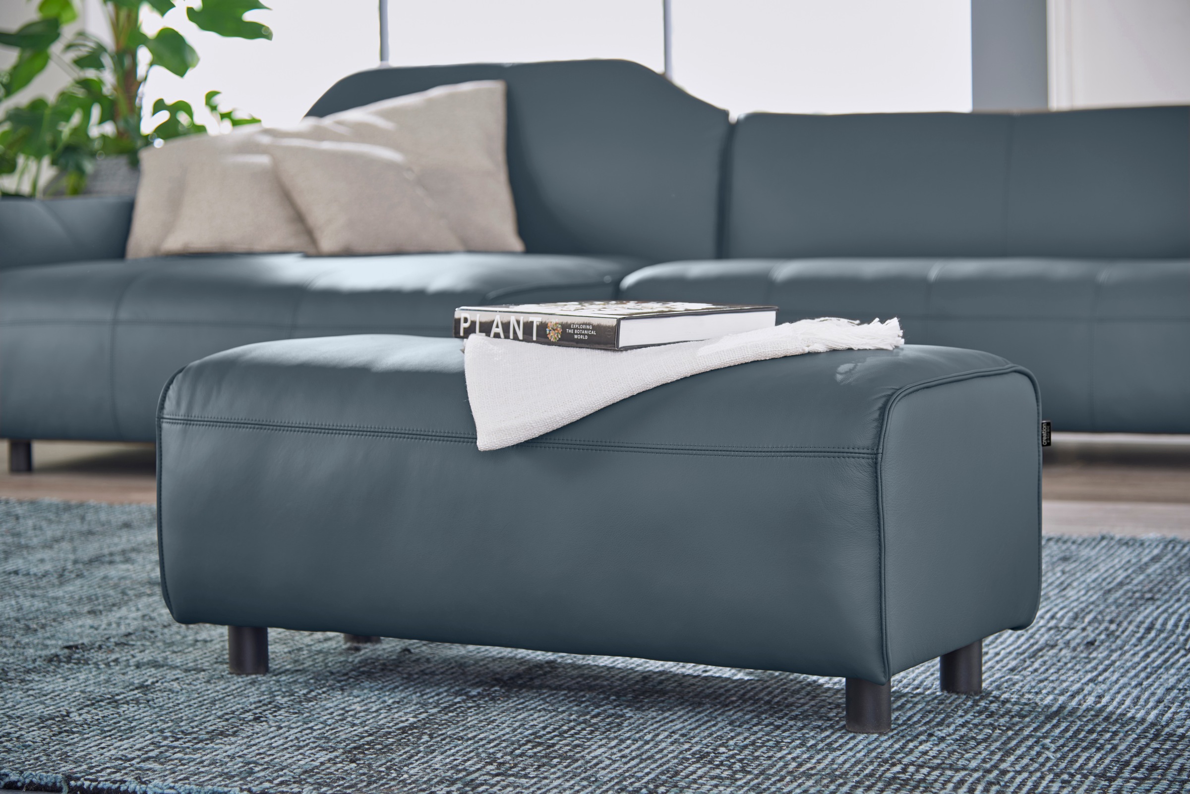 Creation BY ROLF BENZ Hockerbank "CR.480" günstig online kaufen