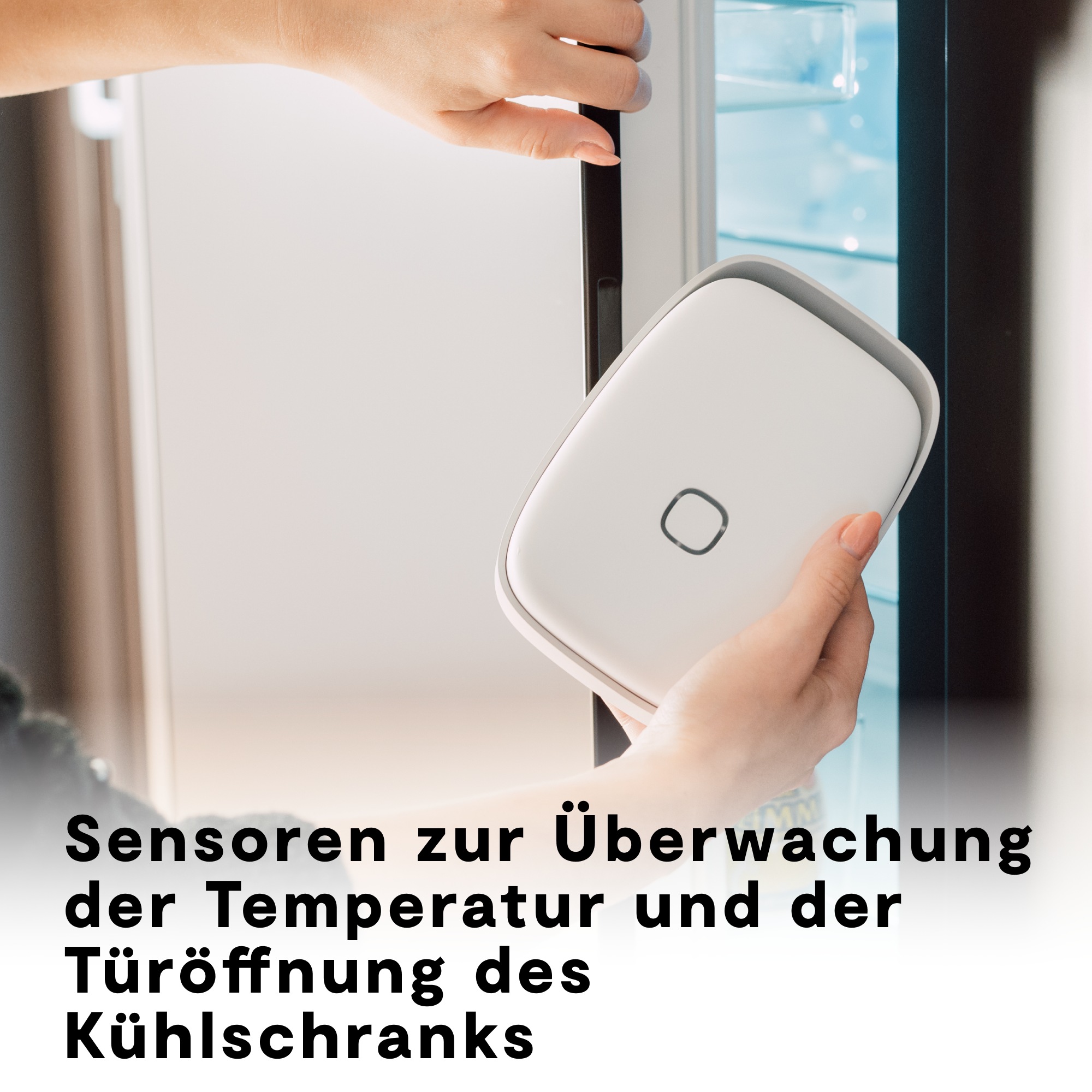 Vitesy Luftreiniger »Shelfy – Smarte Frischeverlängerung für deinen Kühlschrank«, reduzierte Bakterien, verlängert Haltbarkeit, gegen Schimmel