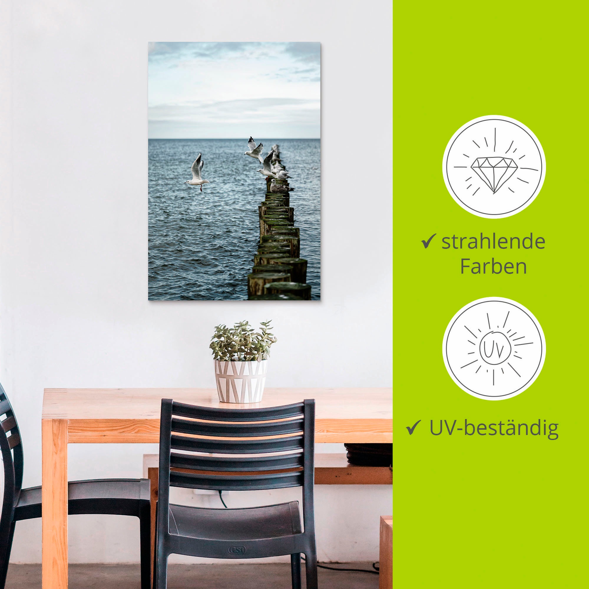 Artland Wandbild »Möwen starten von einer Buhnenreihe«, Vogelbilder, (1 St.), als Alubild, Outdoorbild, Poster in verschied. Größen