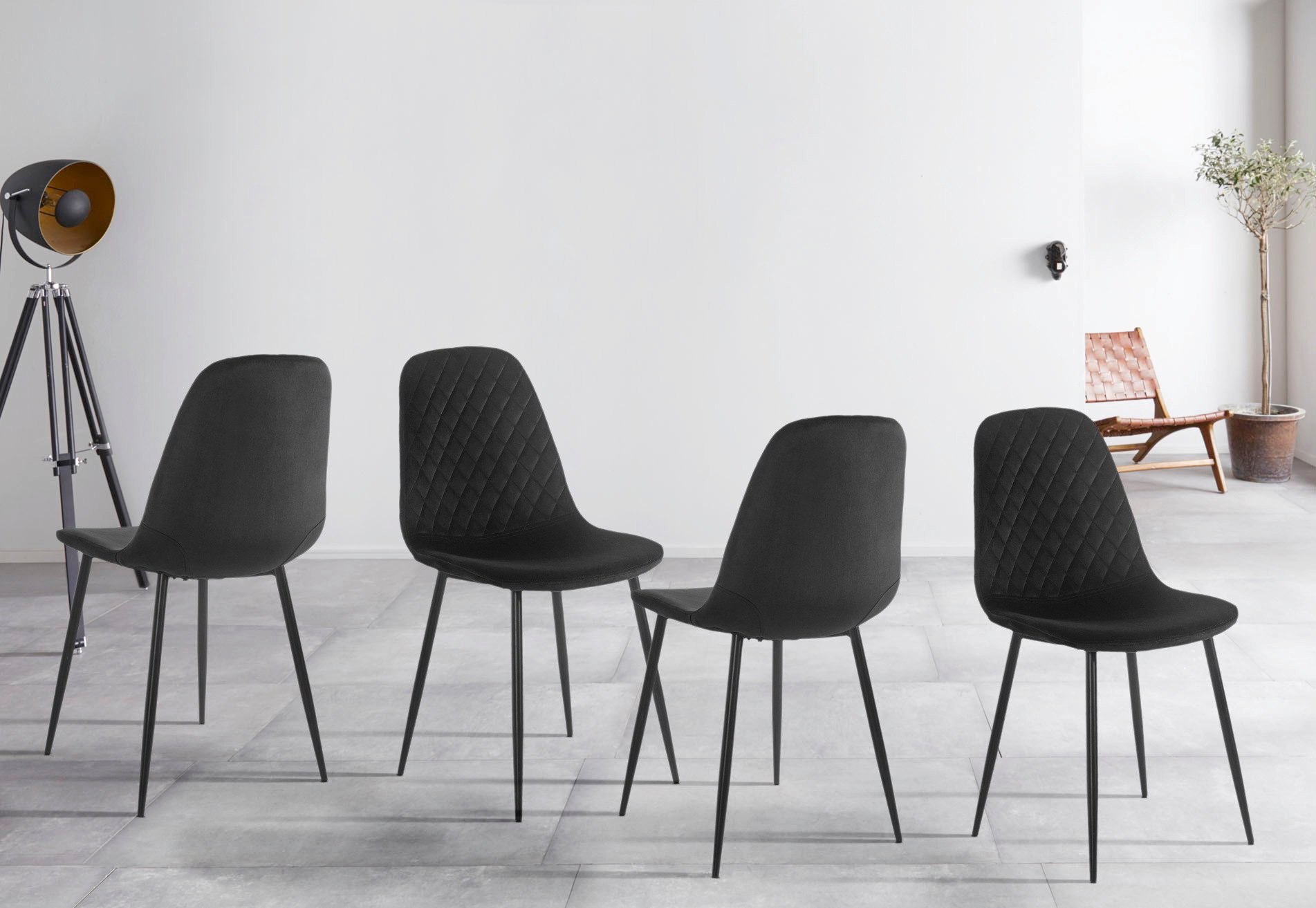 HELA Esszimmerstuhl »Sabrina«, (Set), 4 St., Samtvelours, 2 und 4 Stück, Kü günstig online kaufen