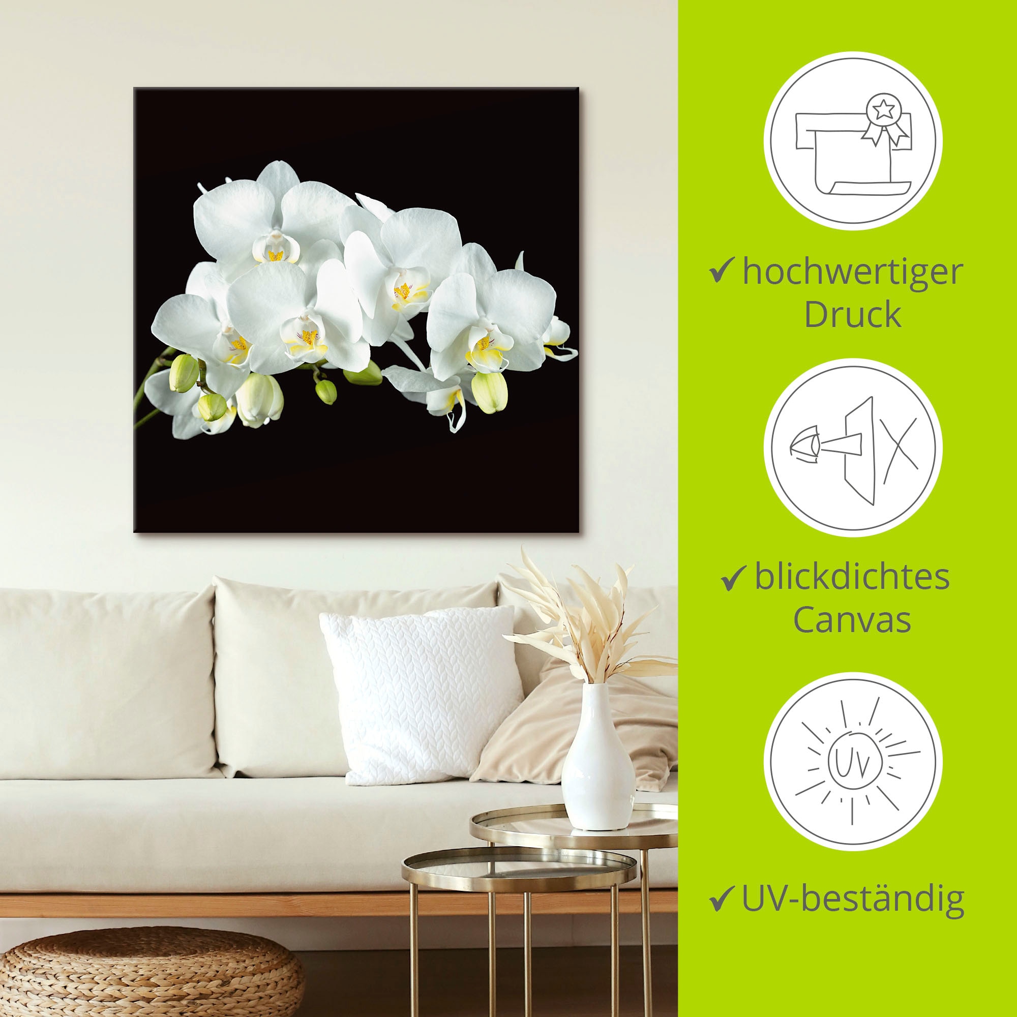 Artland Wandbild »Weiße Orchidee auf schwarzem Hintergrund«, Blumen, (1 St.), als Leinwandbild, Poster, Wandaufkleber in verschied. Größen