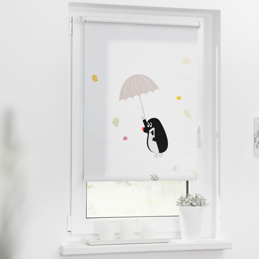 LICHTBLICK ORIGINAL Rollo »Klemmfix, ohne Bohren«, verdunkelnd, Blendschutz günstig online kaufen