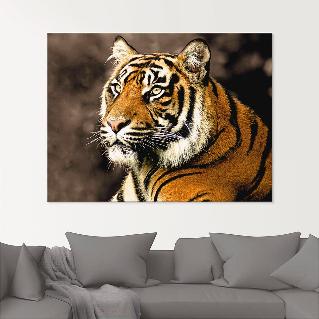 Artland Glasbild »Tiger_sepia«, Wildtiere, (1 St.)