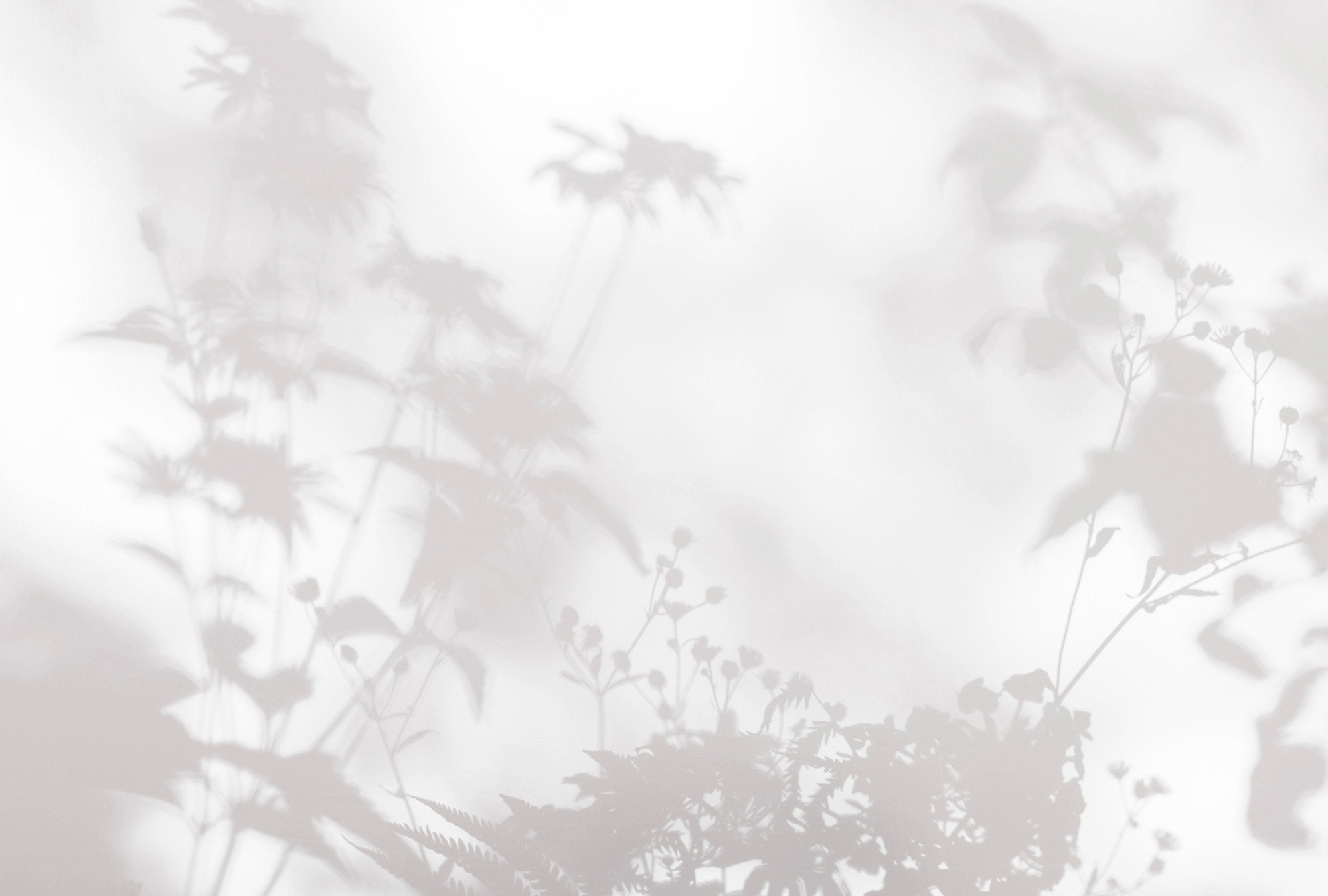 living walls Fototapete »Walls by Patel Shadow Room« glatt Vlies, Wand günstig online kaufen