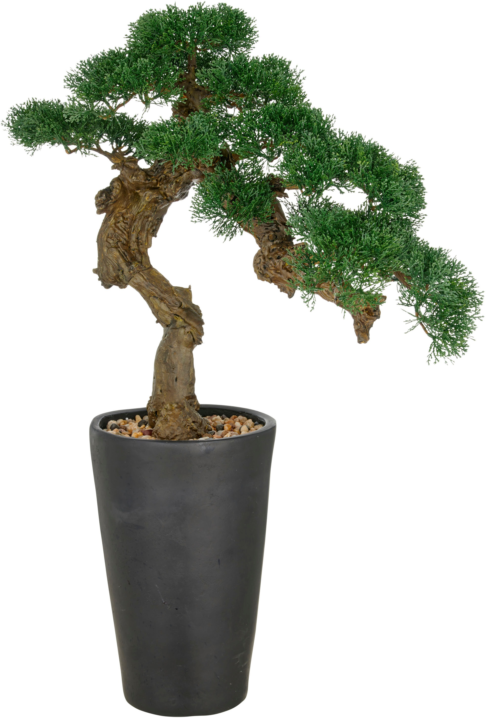 Creativ green Kunstbonsai »Bonsai Zeder«, im besonderen Pflanzgefäß günstig online kaufen