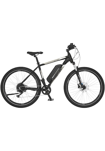 E-Bike »MONTIS EM 1726 422«, 10 Gang