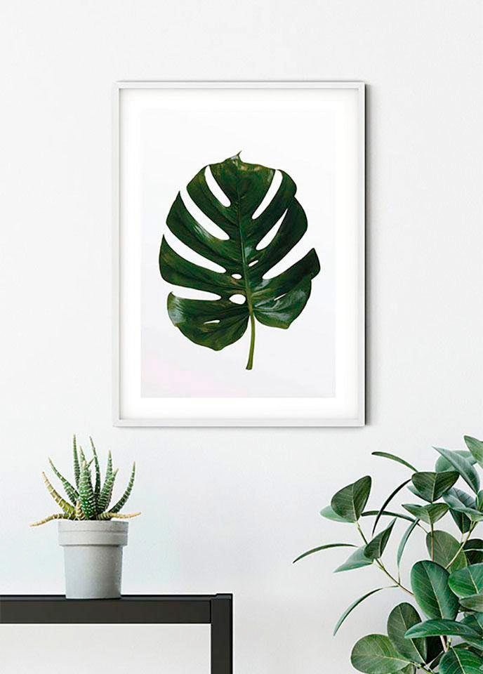 Komar Bild »Monstera Leaf«, Pflanzen-Blätter, (1 St.), Wandbild zur Dekoration - ohne Rahmen