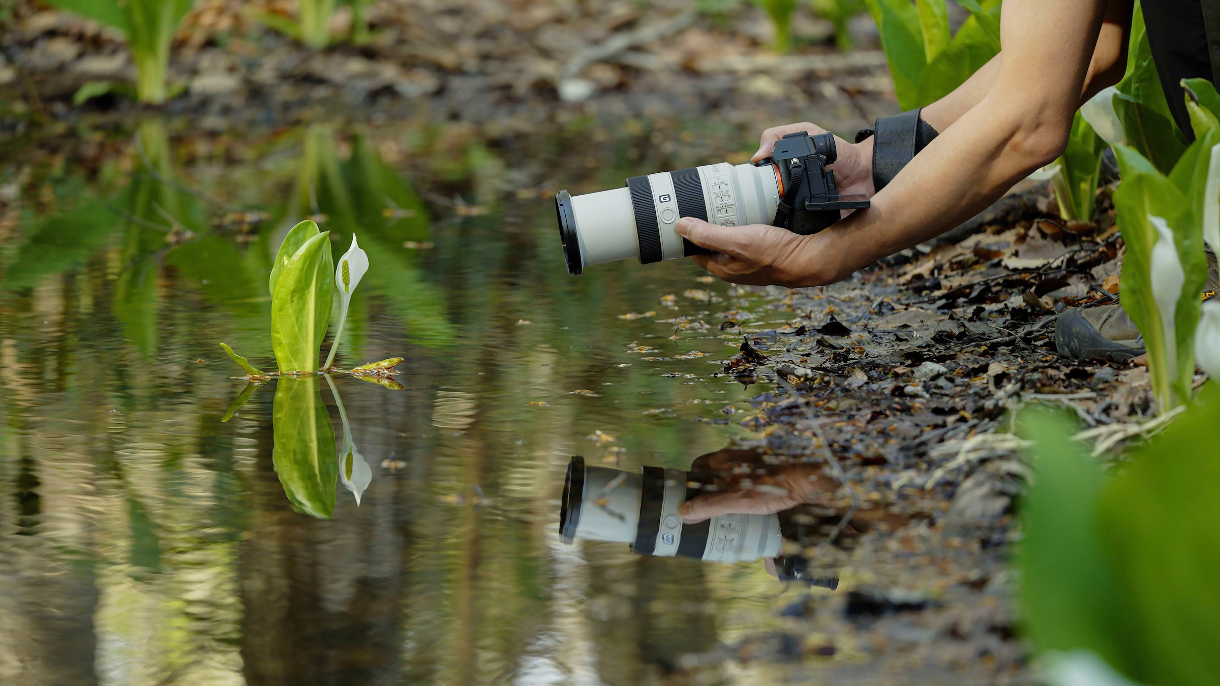 38. Bild von Sony Objektiv »FE 70–200 mm F4 Makro G OSS Ⅱ«