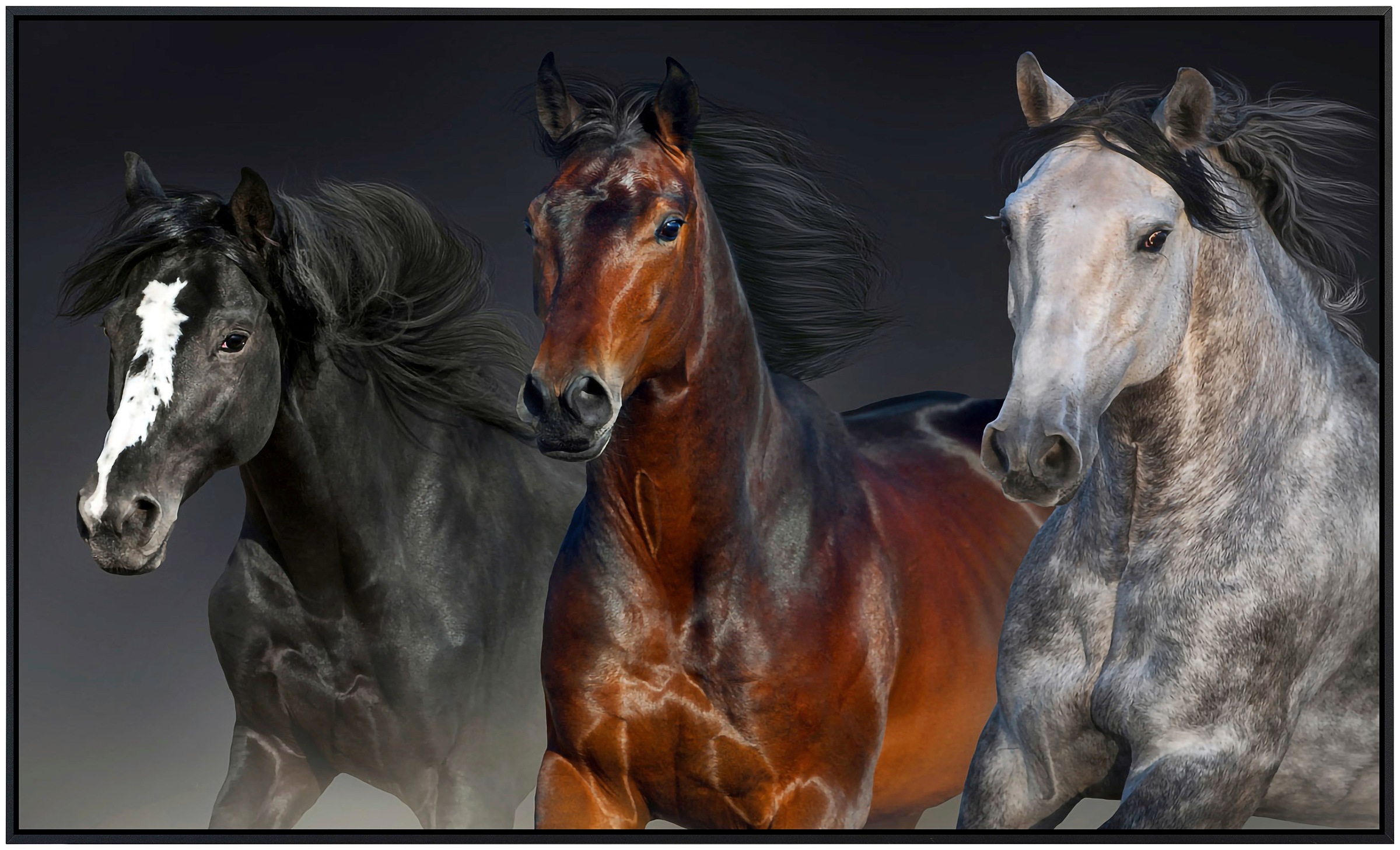 Papermoon Infrarotheizung »Pferdeporträt«, sehr angenehme Strahlungswärme günstig online kaufen