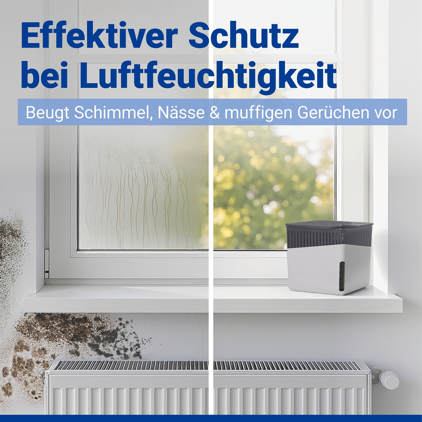 WENKO Luftentfeuchter »Cube« für 80 m³ Räume 1000 g