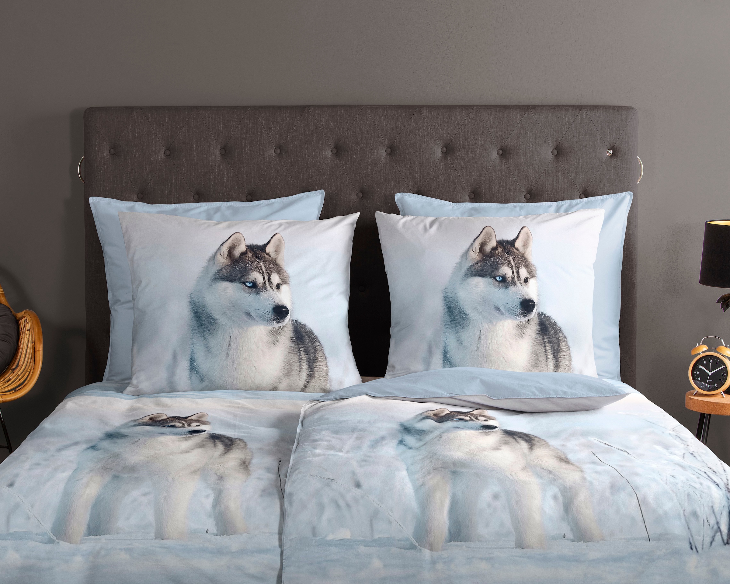 good morning Wendebettwäsche »Sachar«, Baumwolle, 135x200, Reißverschluss, Wendeoptik, Winter, Husky, Blau