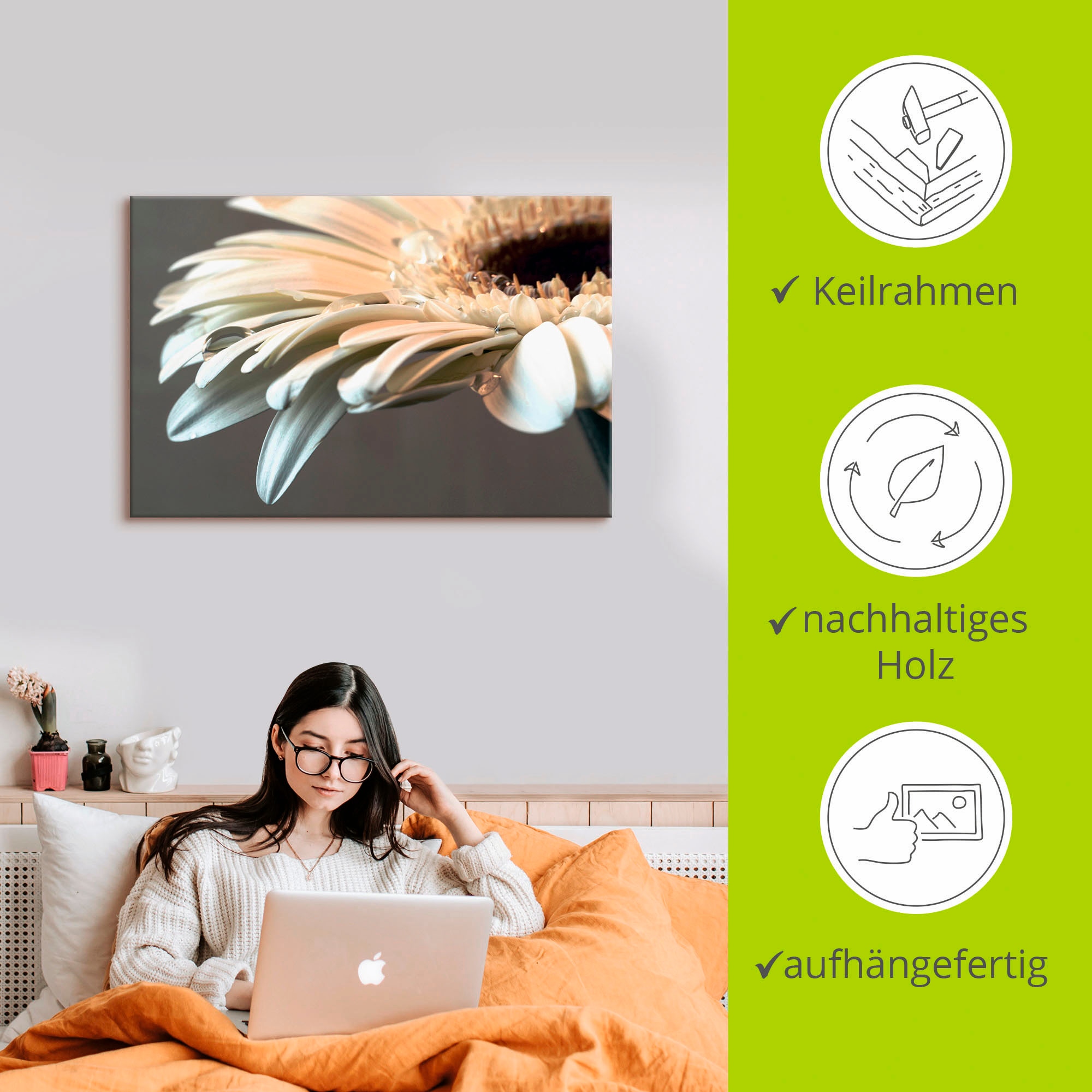 Artland Wandbild »Blüte einer Gerbera«, Blumen, (1 St.), als Leinwandbild, Poster, Wandaufkleber in verschied. Größen