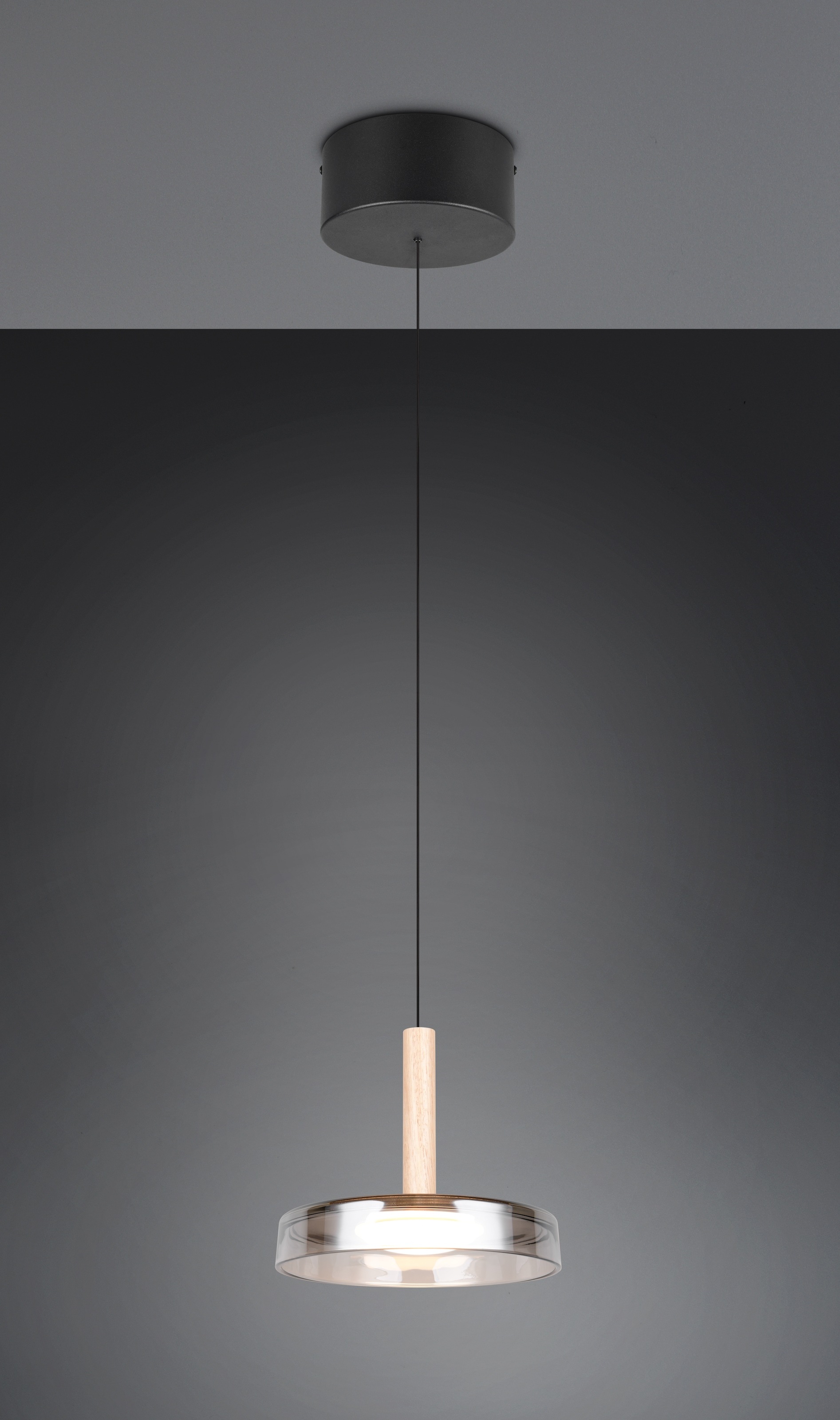 TRIO Leuchten LED Pendelleuchte »CELESTE dimmbare LED Hängelampe aus Metall Glas & Holz, 10W 1100 Lumen«, 1 flammig, Leuchtmittel LED-Board | LED fest integriert, einfach höhenverstellbar von 50-200 cm, Ø 22cm, 3-Stufen Dimmfunktion