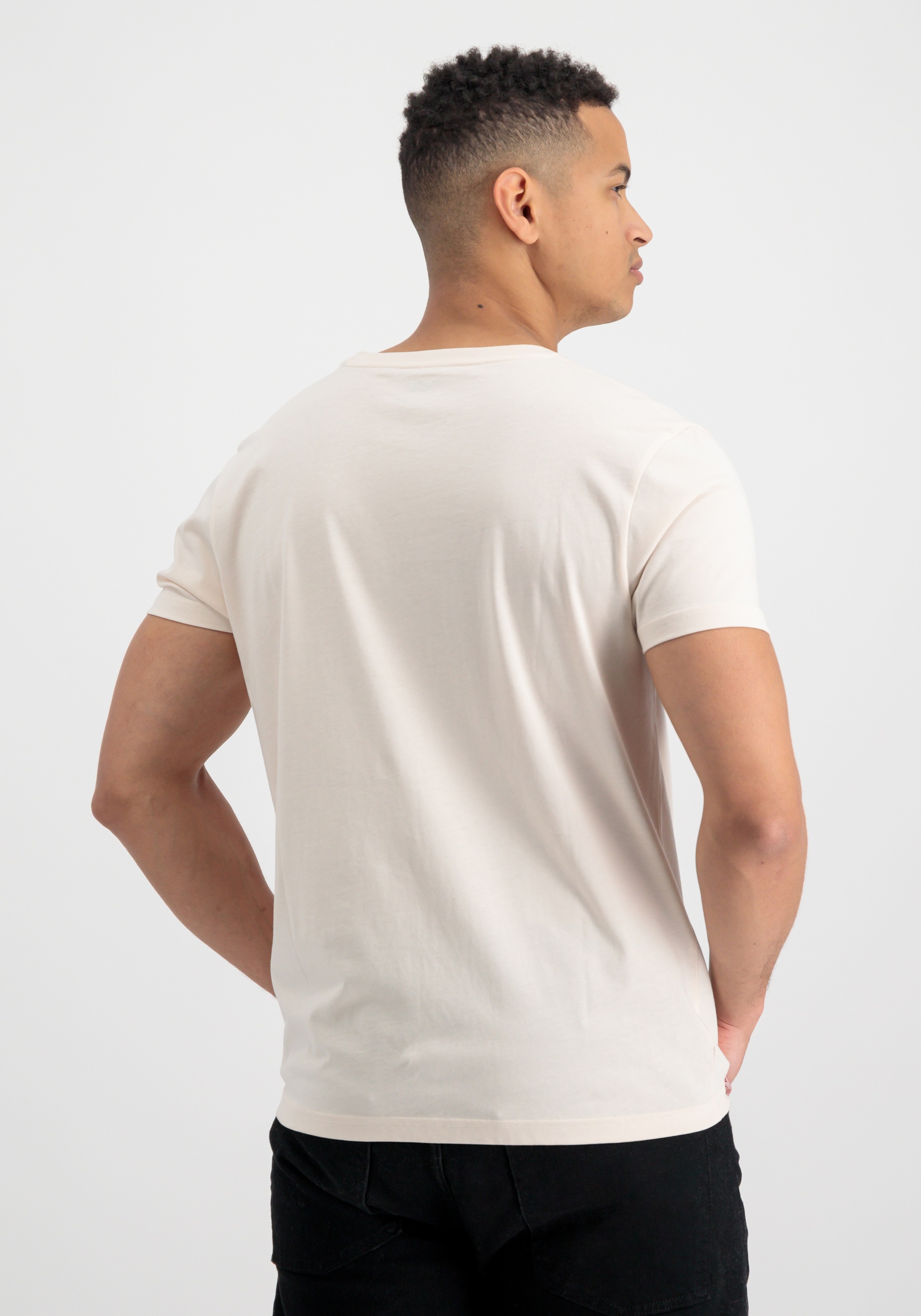 Alpha Industries T-Shirt »Basic T-Shirt Embroidery«