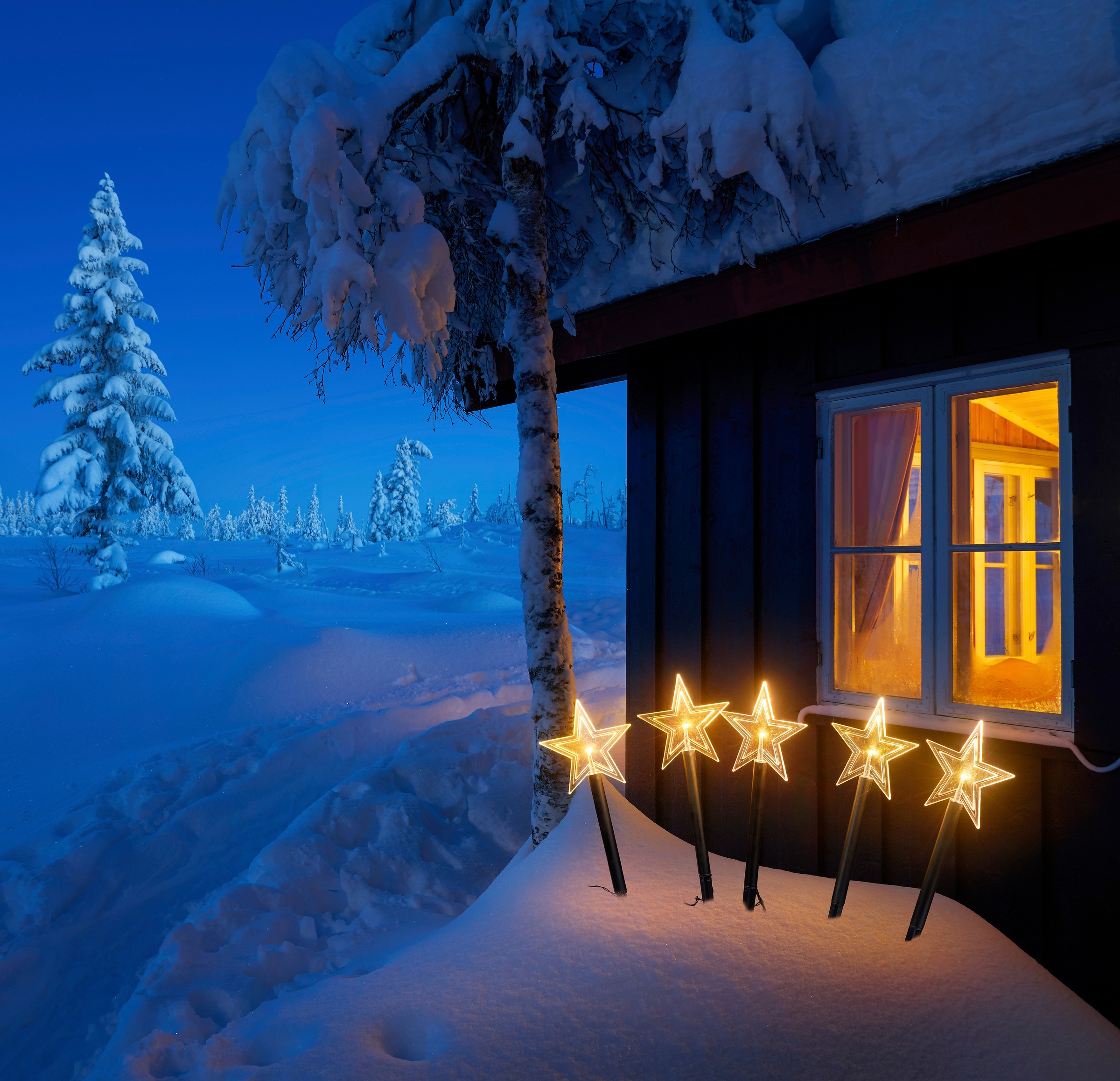 IC Winterworld LED Stern »Weihnachtsstern, Weihnachtsdeko«, Gartenstecker mit Timerfunktion, für den Innen- und Außenbereich