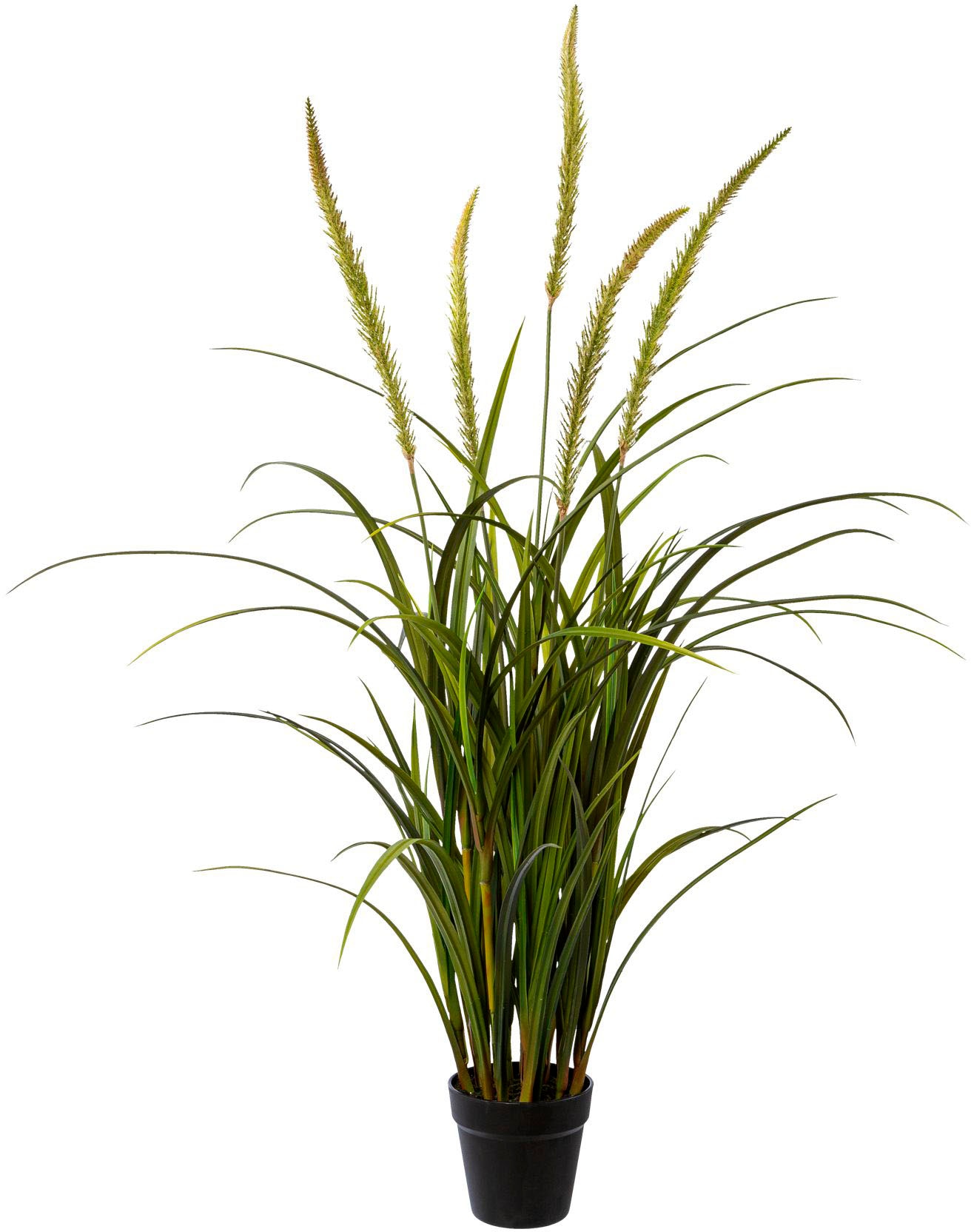 Creativ green Kunstgras »Grasbusch Miscanthus im Topf« günstig online kaufen
