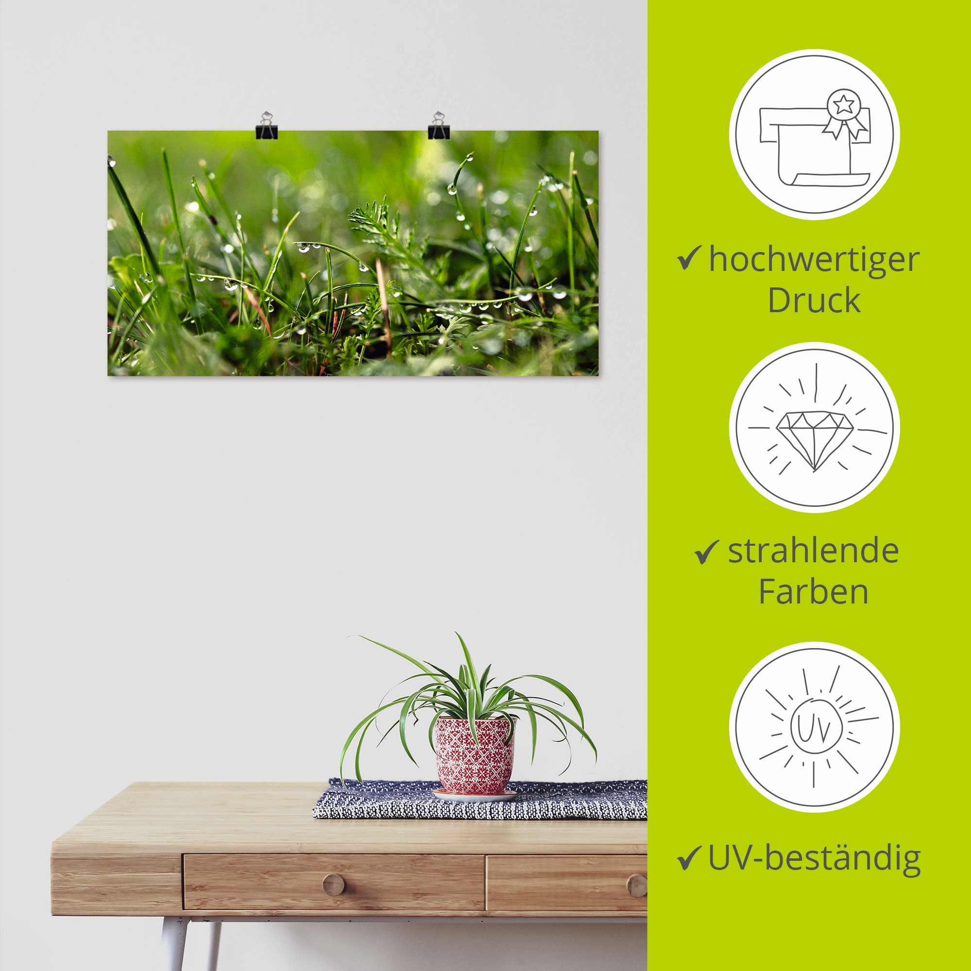 Artland Wandbild »Tautropfen«, Gräser, (1 St.), als Alubild, Outdoorbild, Leinwandbild, Poster in verschied. Größen