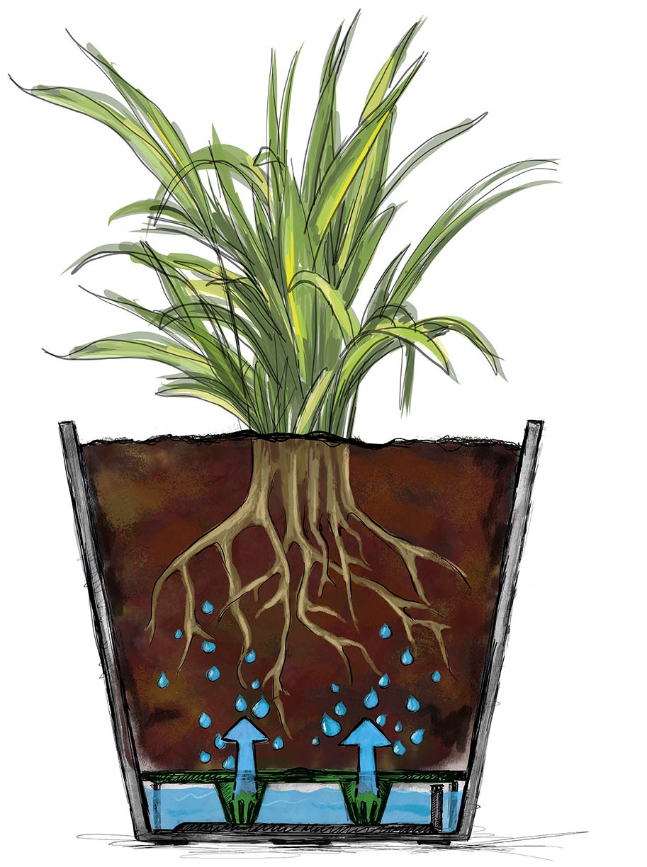 Scheurich Blumentopf »30/266 GROOVE+«