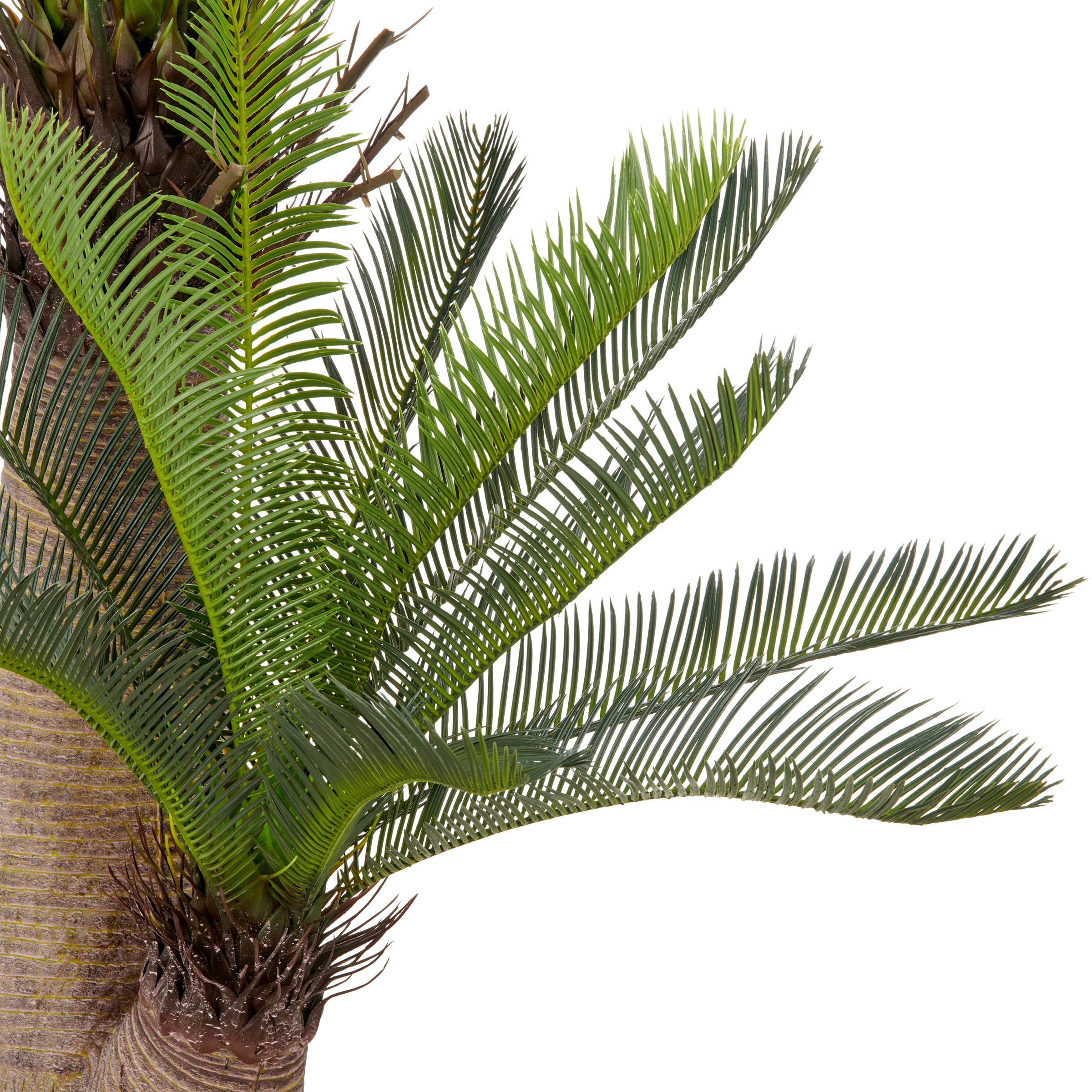 Creativ green Kunstpalme »Cycaspalme« mit detailgetreuer Gestaltung günstig online kaufen