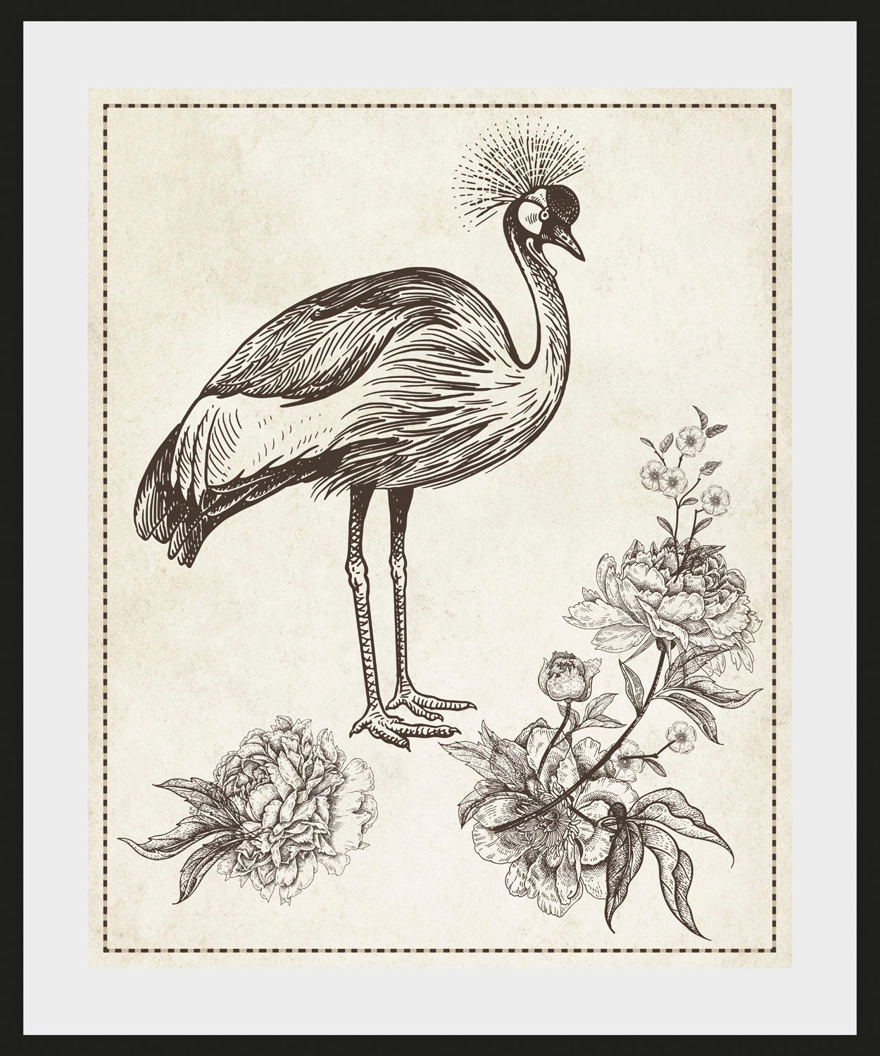 queence Bild »Larissa«, Vögel-Vogelbilder-historische Ereignisse-Kunst, (1 St.), HD Premium Poster-Druck inkl. Holzrahmen