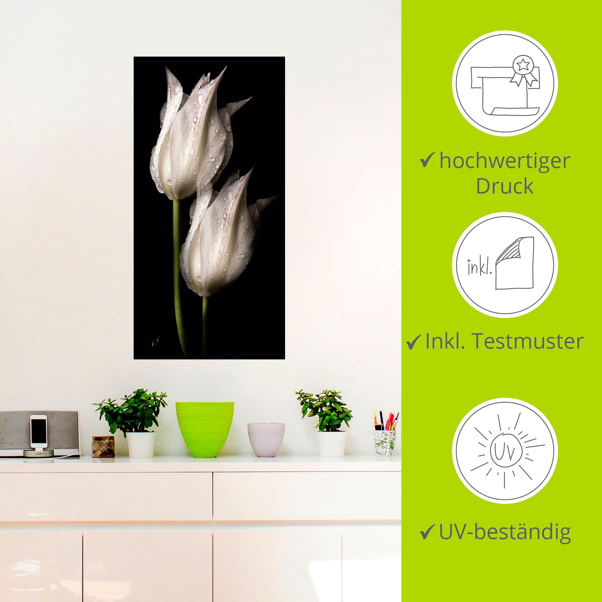 Artland Wandbild »Weiße Tulpen in der Nacht«, Blumenbilder, (1 St.), als Alubild, Outdoorbild, Leinwandbild, Poster, Wandaufkleber