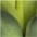 grün