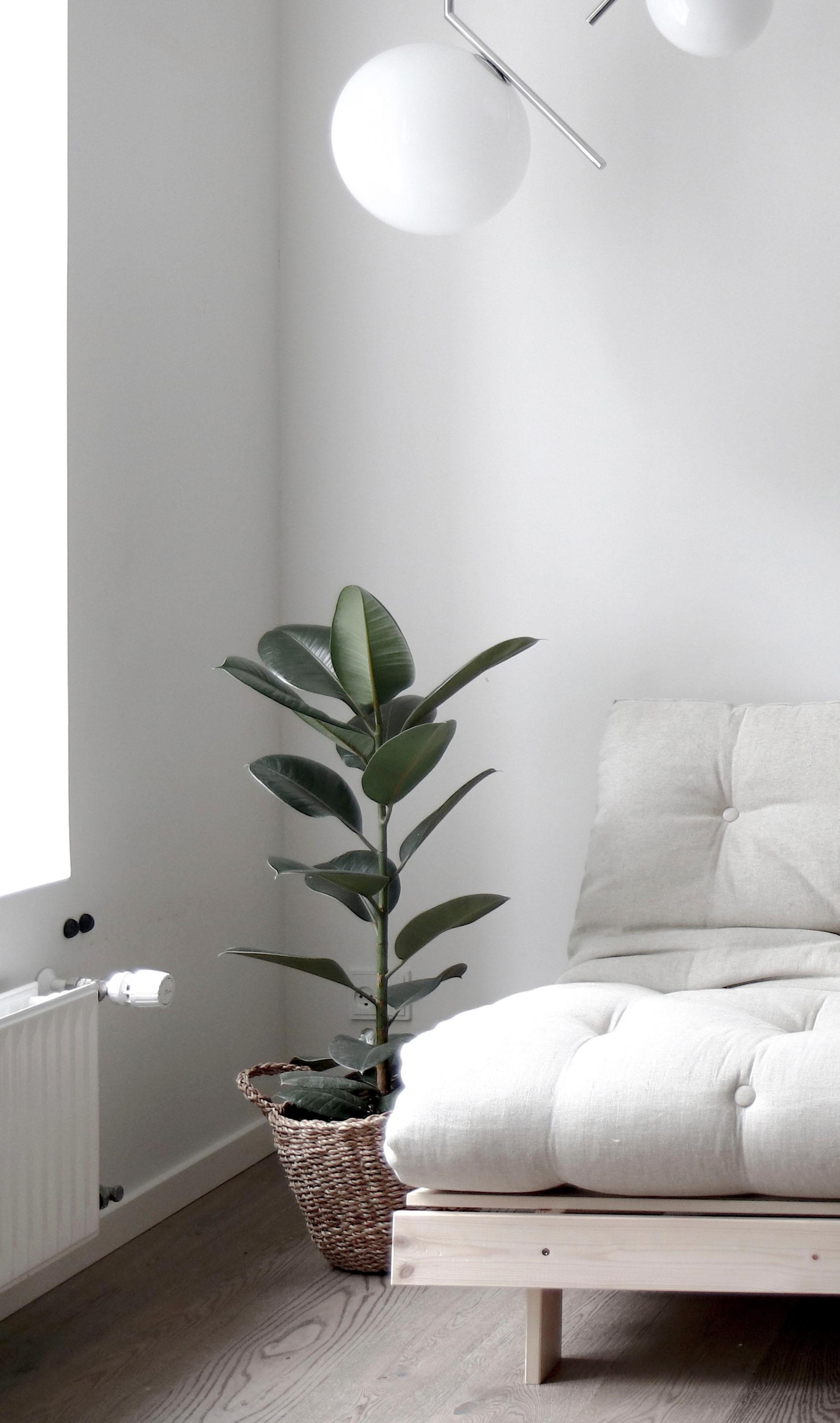 Karup Design Daybett »Daybett Roots Schlafsofa – Gästebett & Sofa aus FSC®-Kiefer«, Inkl. Futonmatratze, in mehreren Größen & Farben erhältlich