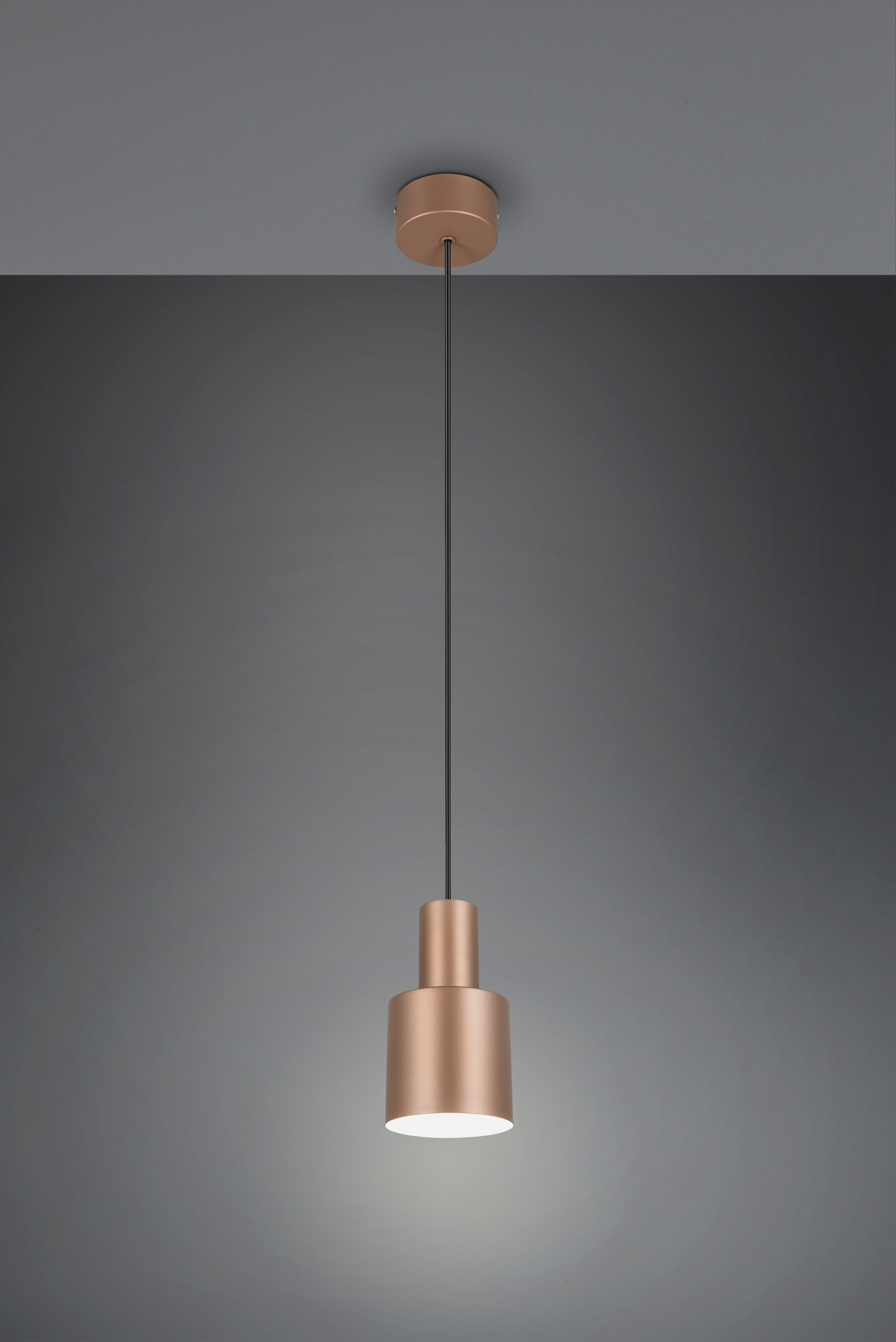 TRIO Leuchten Pendelleuchte »AGUDO, Hängelampe 1-flammig, exkl 1xE27 max 10W, höhenverstellbar«, 1 flammig, Leuchtmittel E27 | Leuchtmittel wechselbar, Hängelampe Ø 12cm, bis max 150cm Abhängung, Küche Esszimmer Wohnzimmer