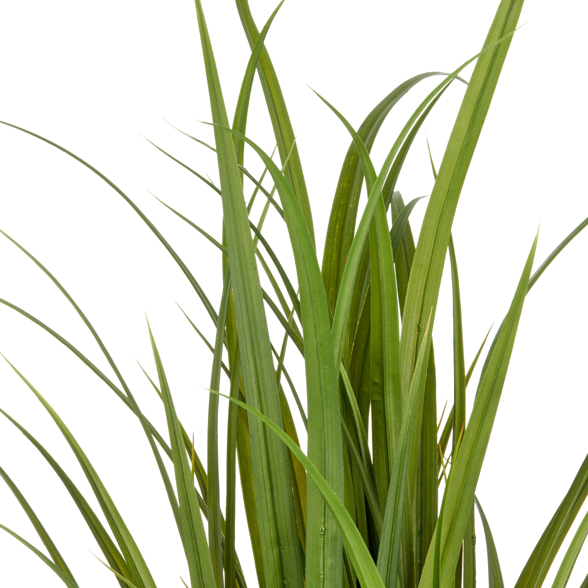 Creativ green Kunstgras »Grasbusch Miscanthus«, im eleganten Topf günstig online kaufen