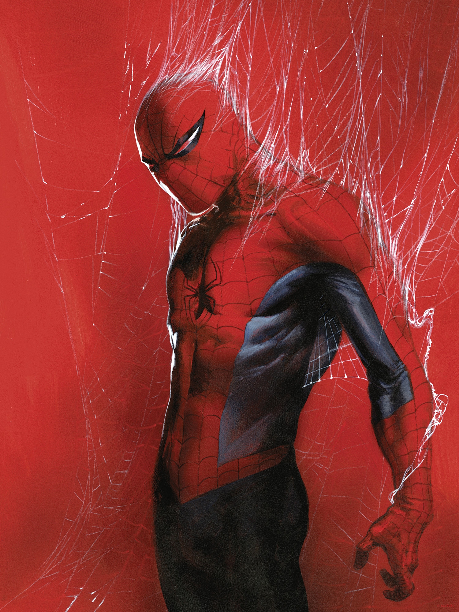 Komar Wandbild »Marvel Spider-Man Through the Spider Web«, Disney, (Set, 1 St.), 30 x 40 cm (Breite x Höhe) - Kinderzimmer, Dekoration