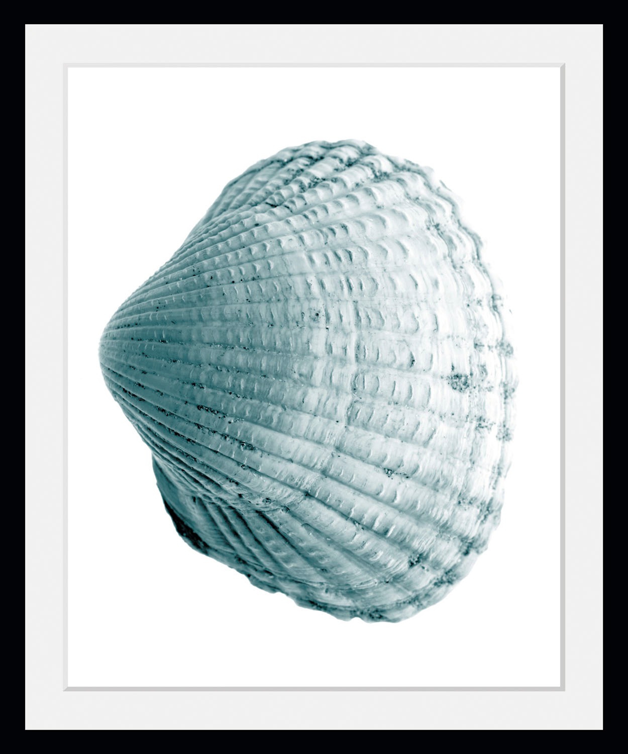 queence Bild »Leon« Kunst   Meer   Wassertiere 1 Stk. tlg. HD Premium Poste günstig online kaufen