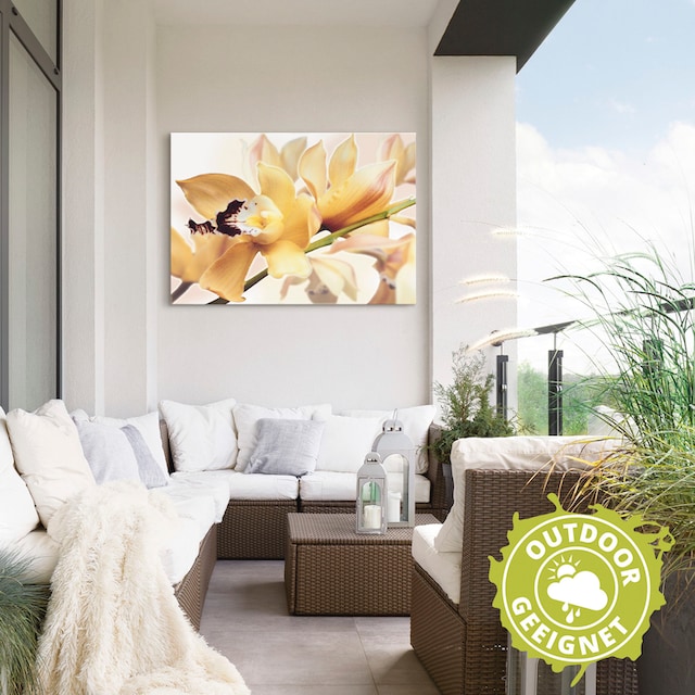 Artland Wandbild »Gelbe Orchidee«, Blumenbilder, (1 St.), als Alubild,  Leinwandbild, Wandaufkleber oder Poster in versch. Größen auf Rechnung  kaufen