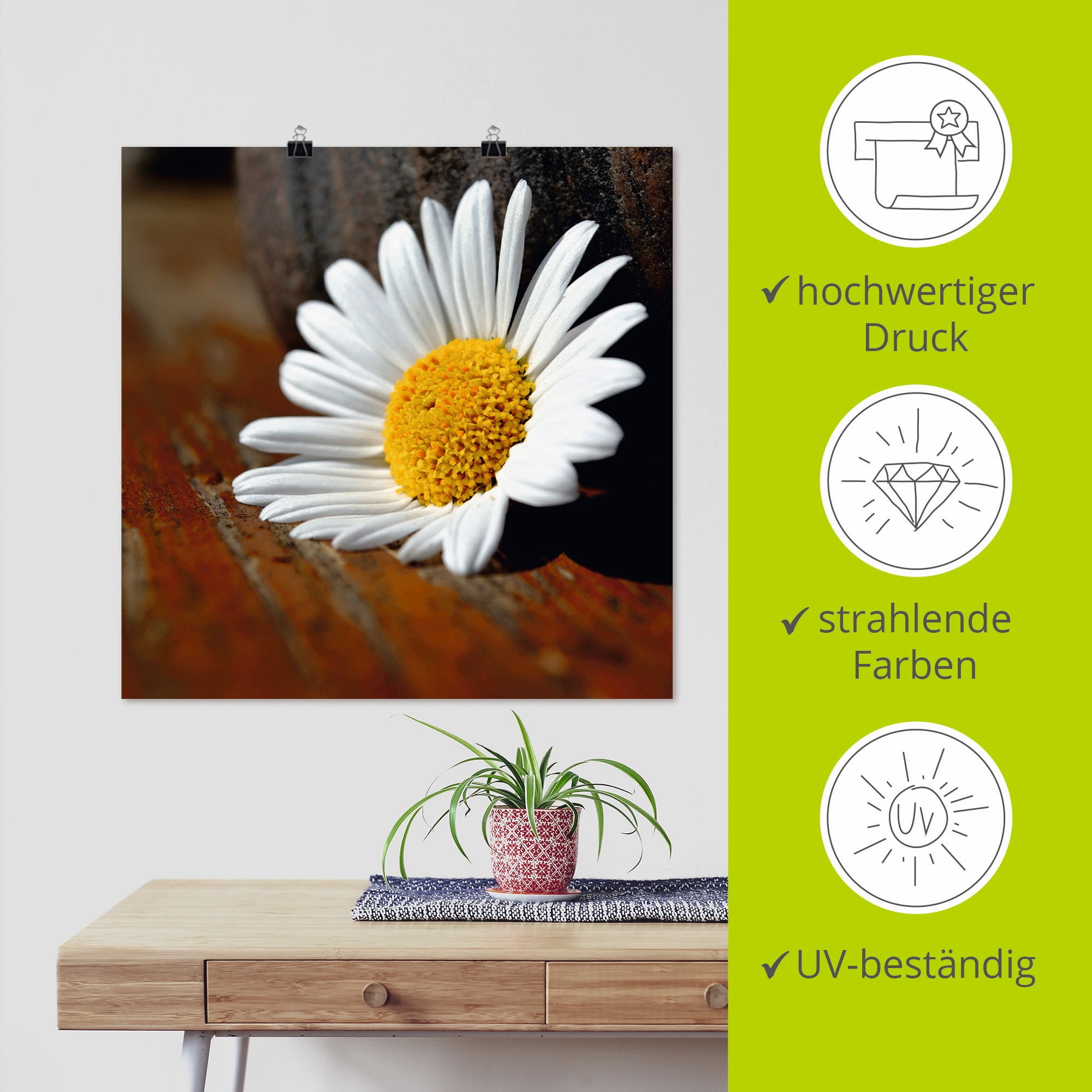 Artland Poster »Margeriten Stillleben«, Blumen, (1 St.), als Leinwandbild, Wandaufkleber oder Poster in versch. Größen