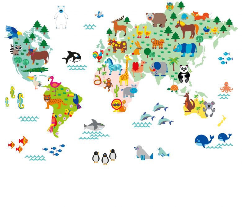 Wall-Art Wandtattoo »Kinder Tierwelt Weltkarte bunt«, (1 St.) auf Rechnung  kaufen