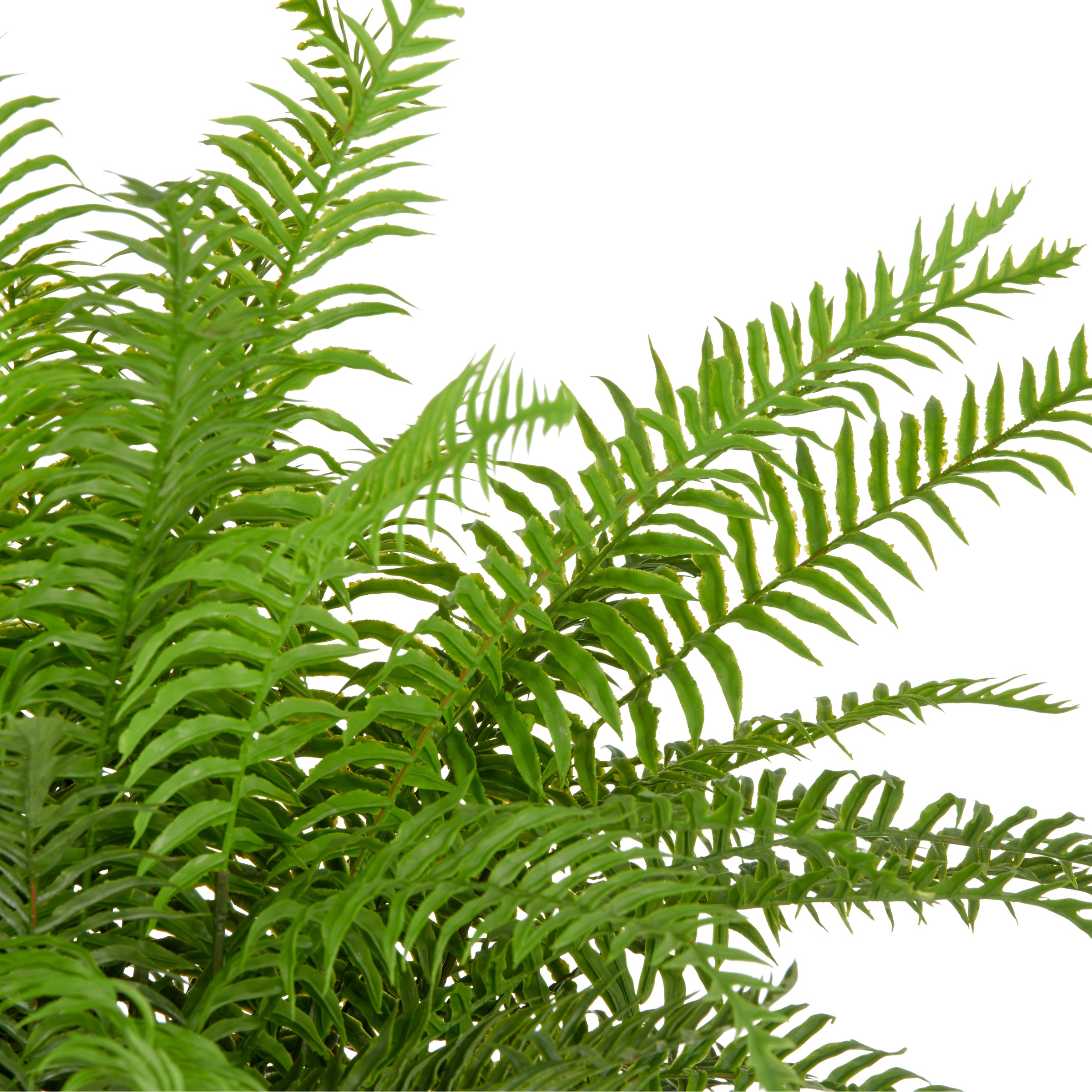 Creativ green Kunstpflanze »Schwertfarn« mit zahlreichen Farnwedeln günstig online kaufen