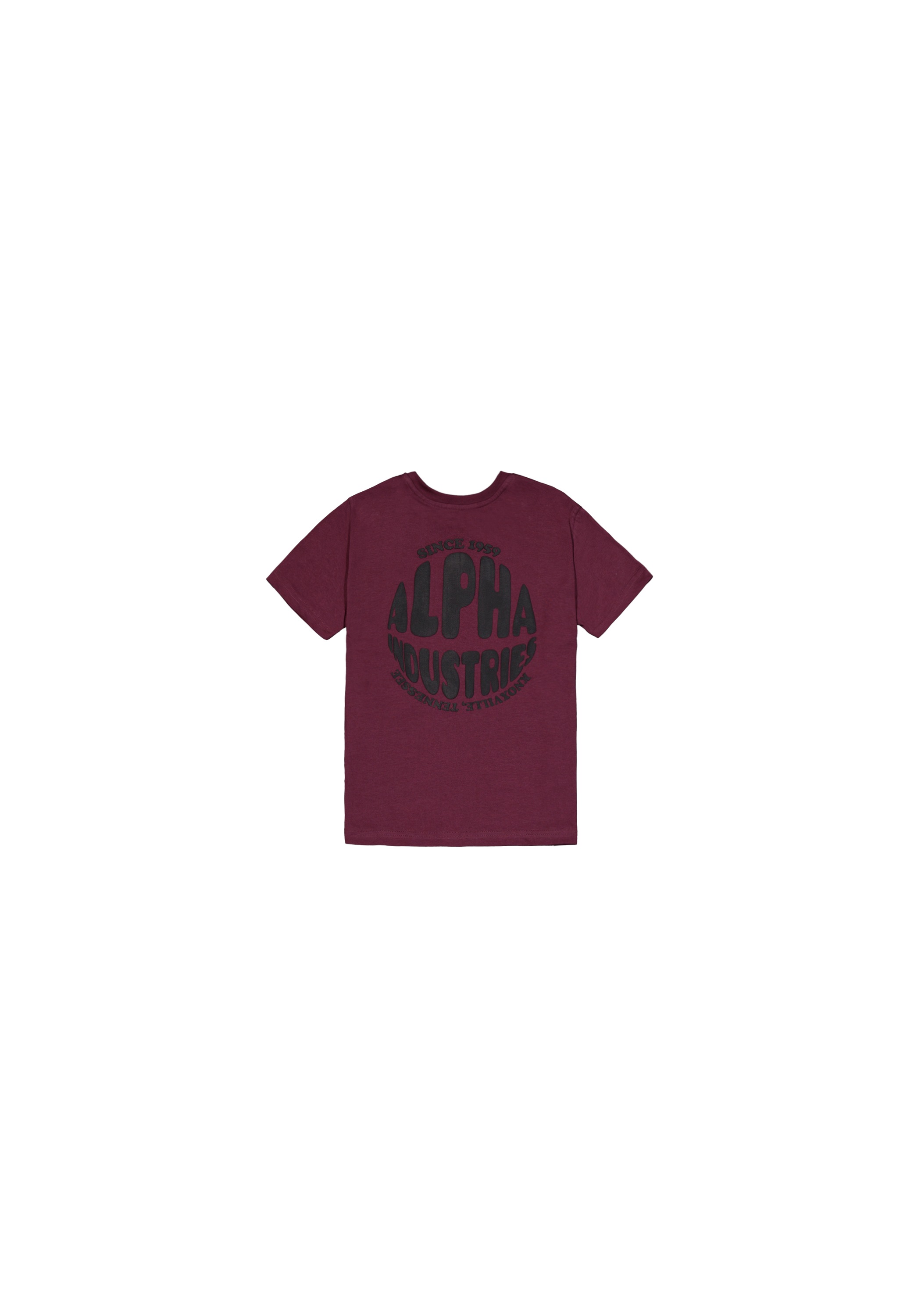 Alpha Industries T-Shirt »Alpha Industries Kids - T-Shirts Logo Backprint T-Shirt K«
